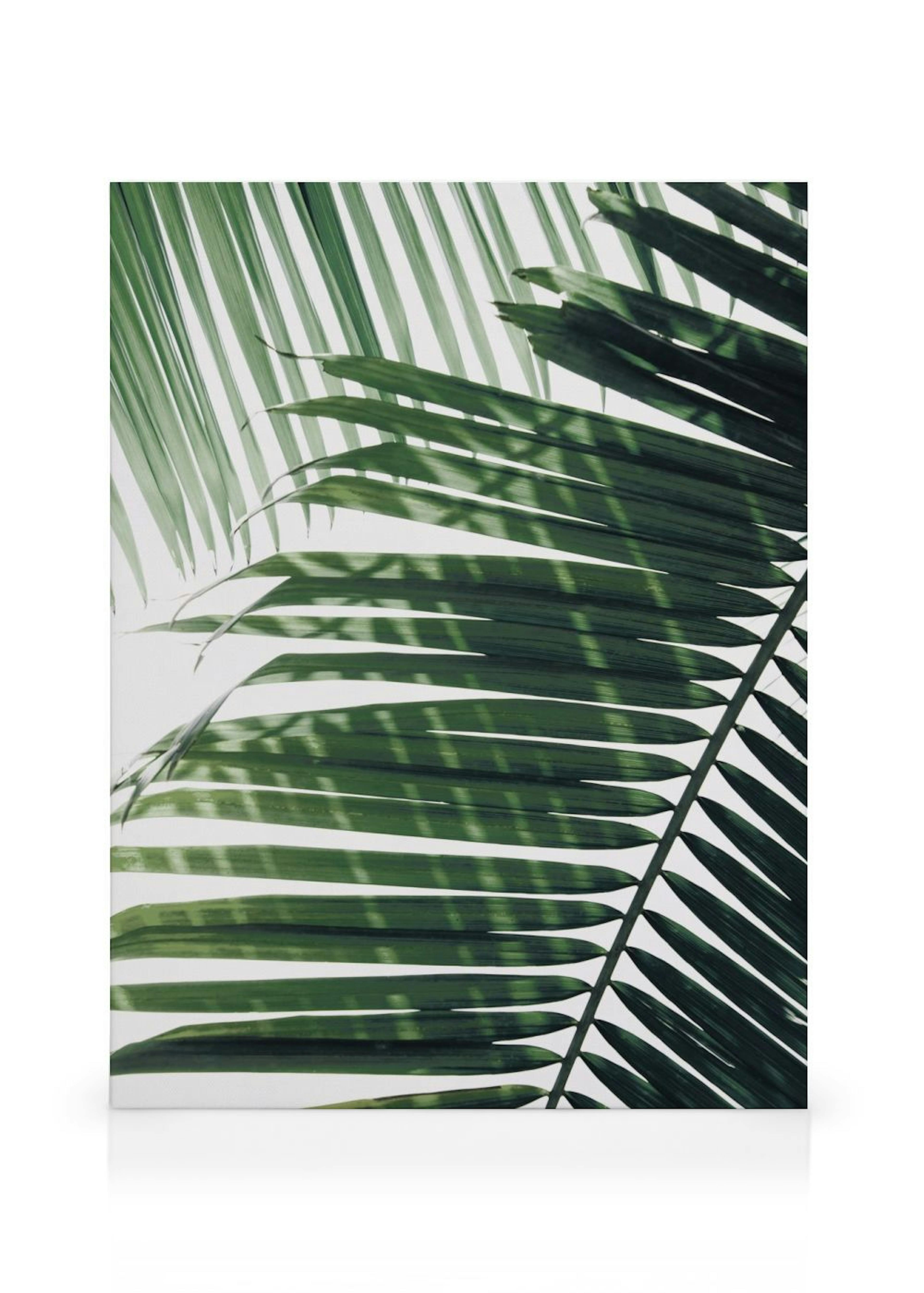 Product image: 1