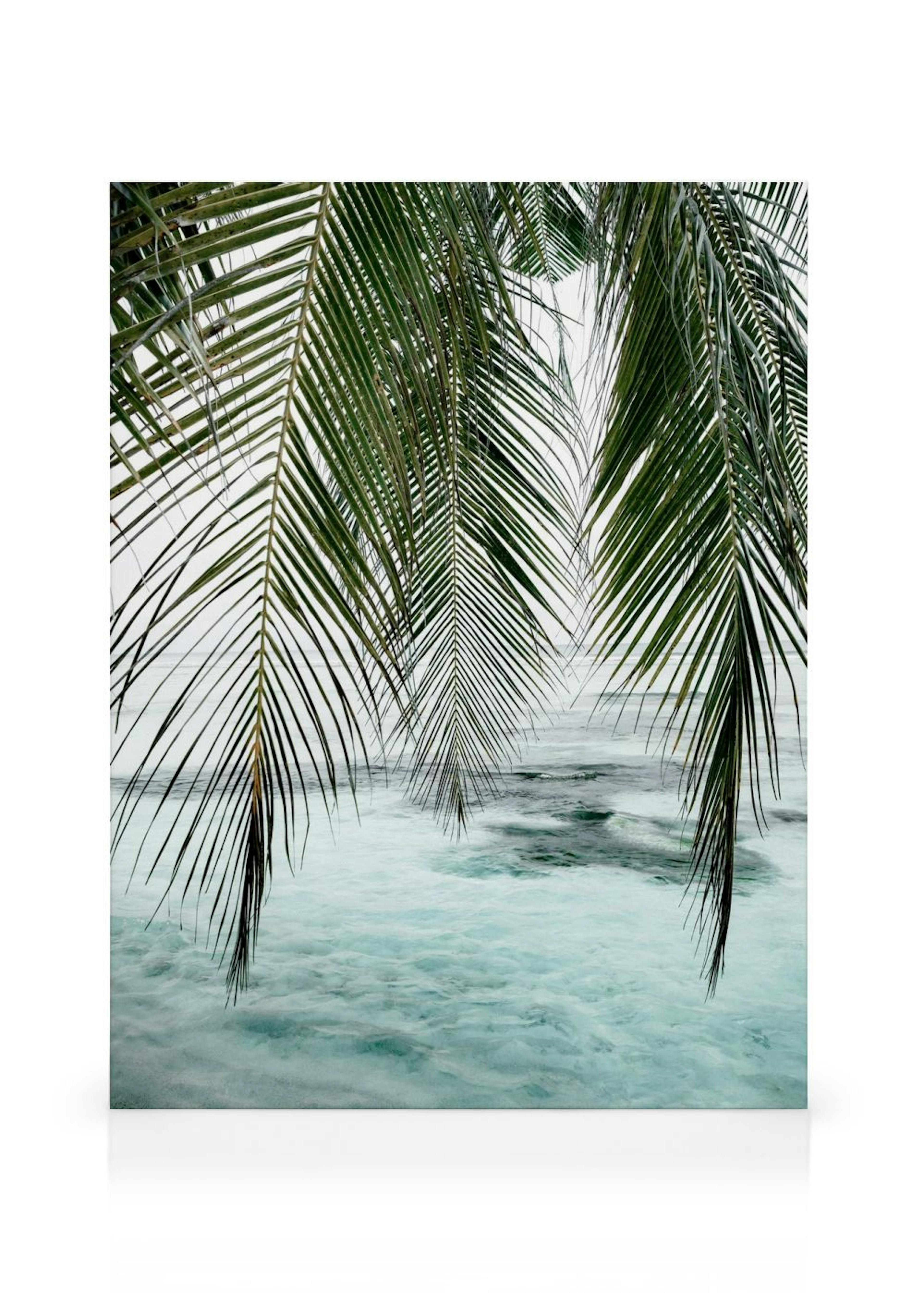 Ocean Palm Lienzo