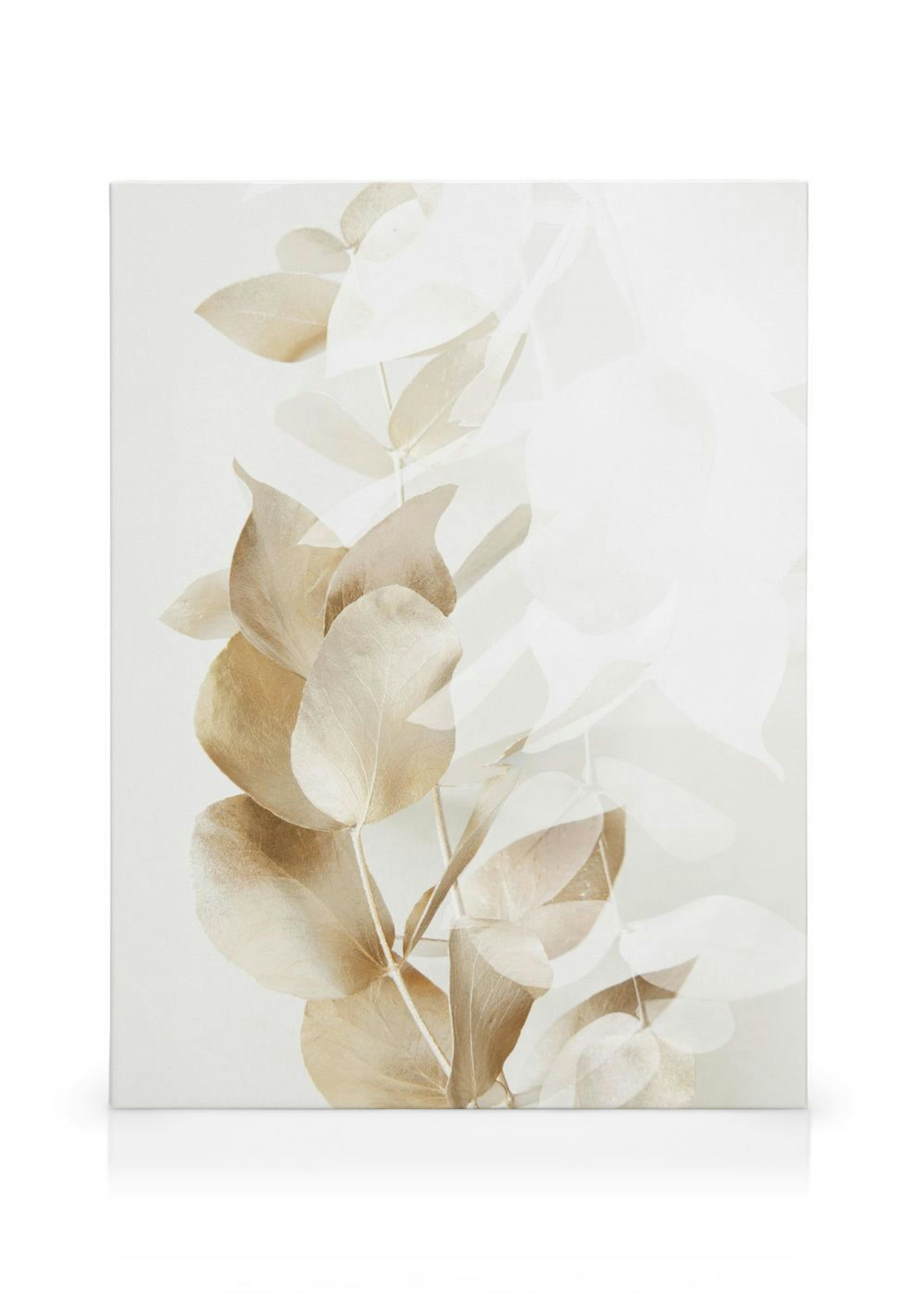 Golden Eucalyptus No2 Canvas print