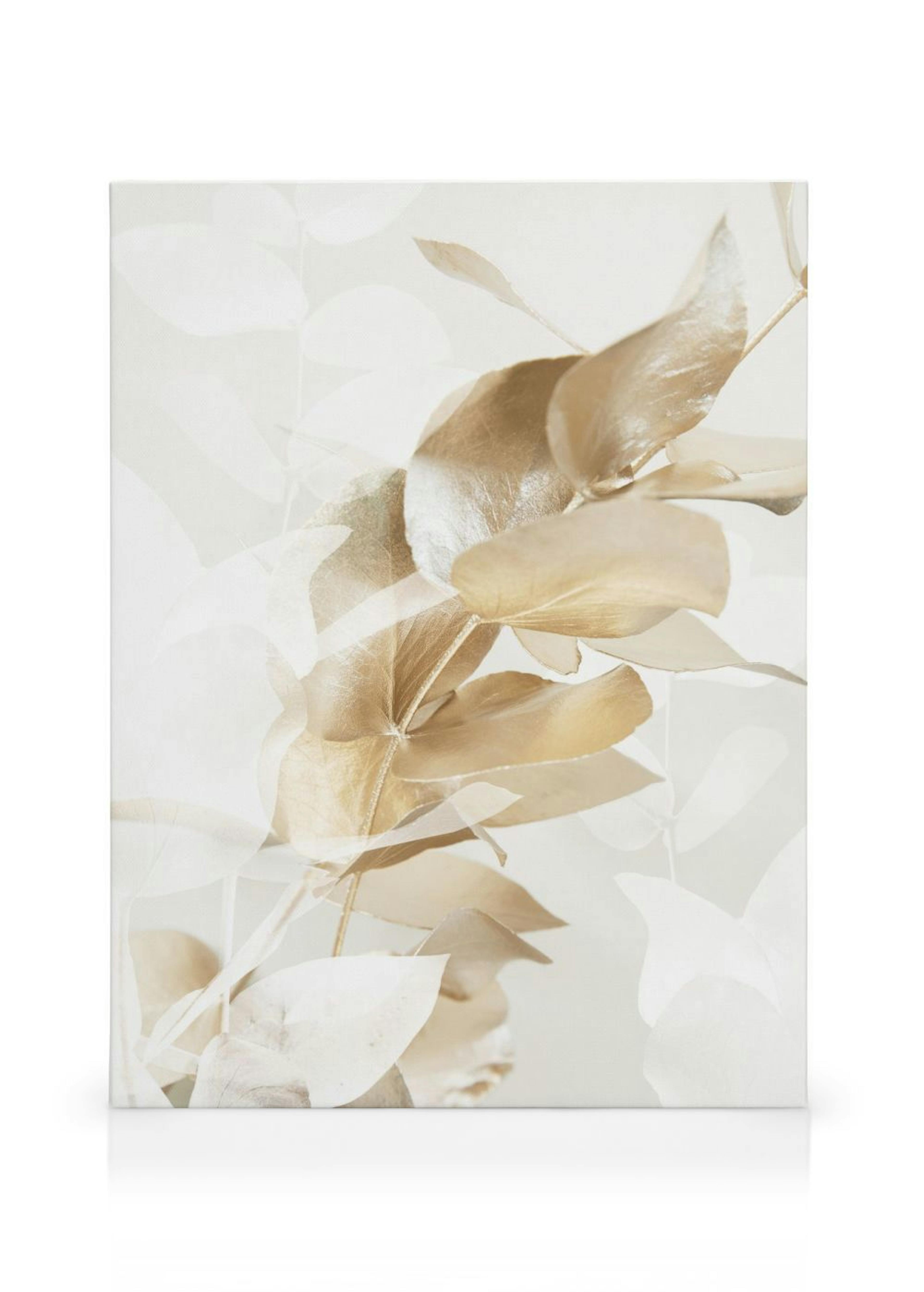 Product image: 1