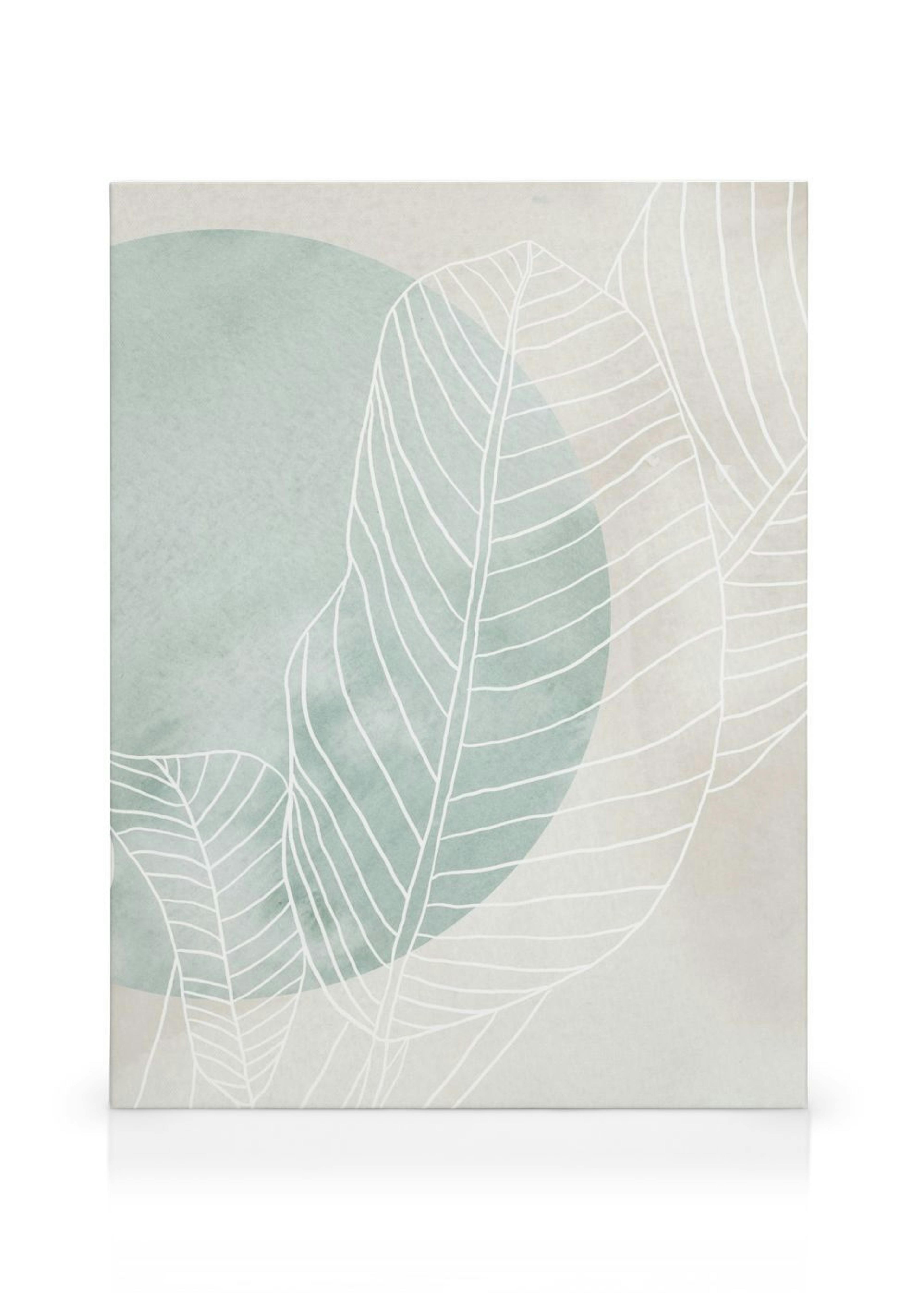Ficus Line Drawing Canvas print