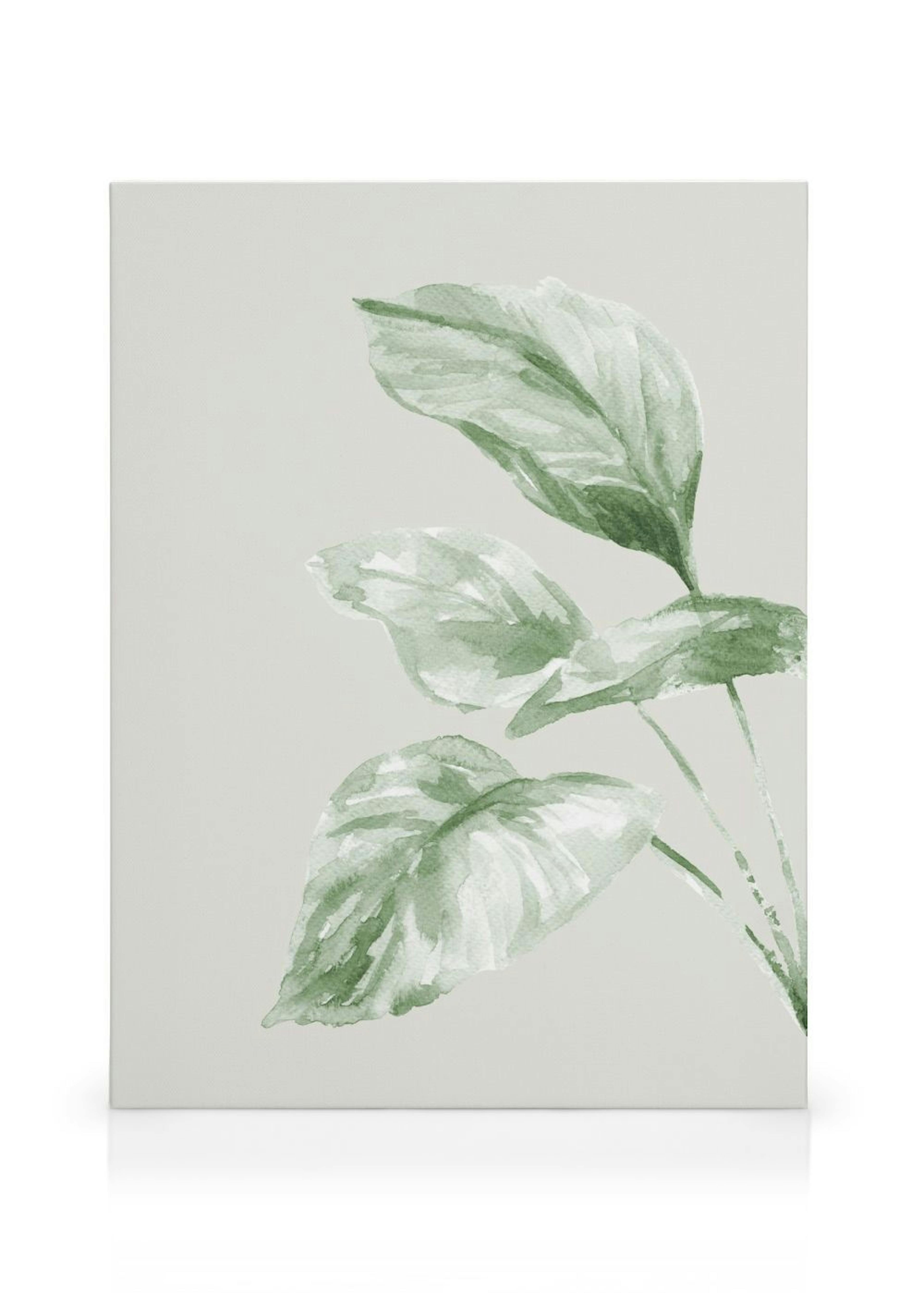 Product image: 1