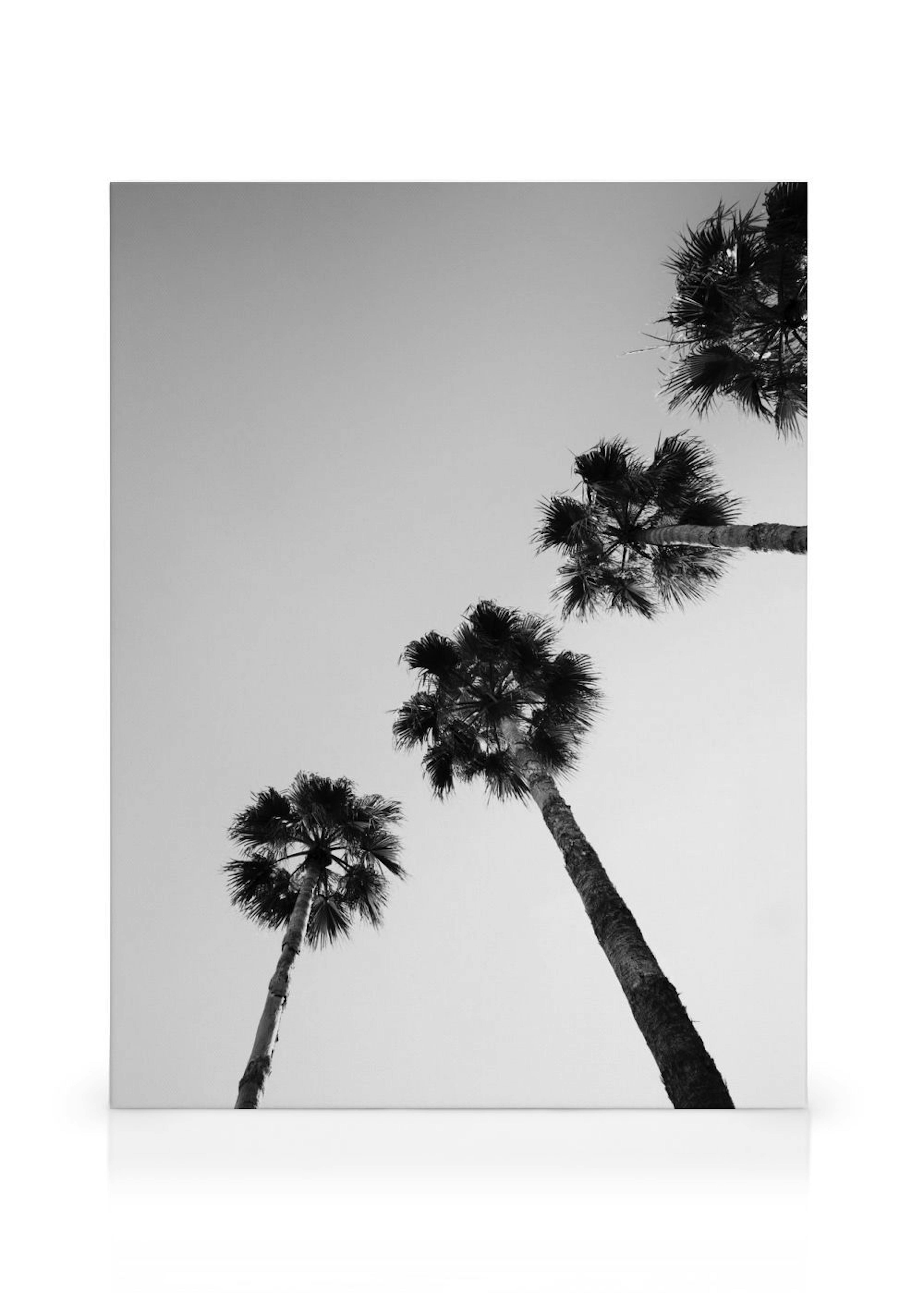 Product image: 1