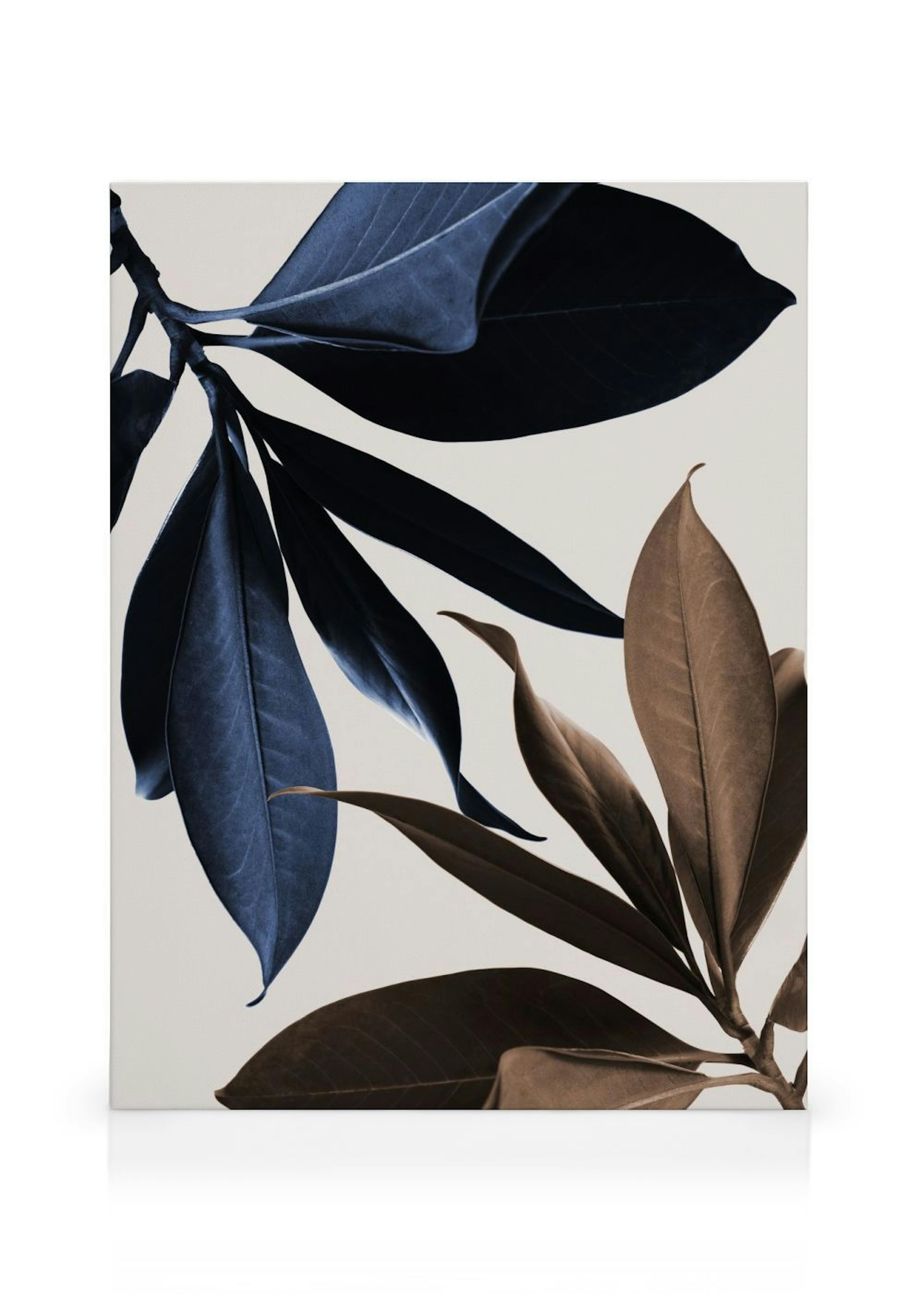 Product image: 1