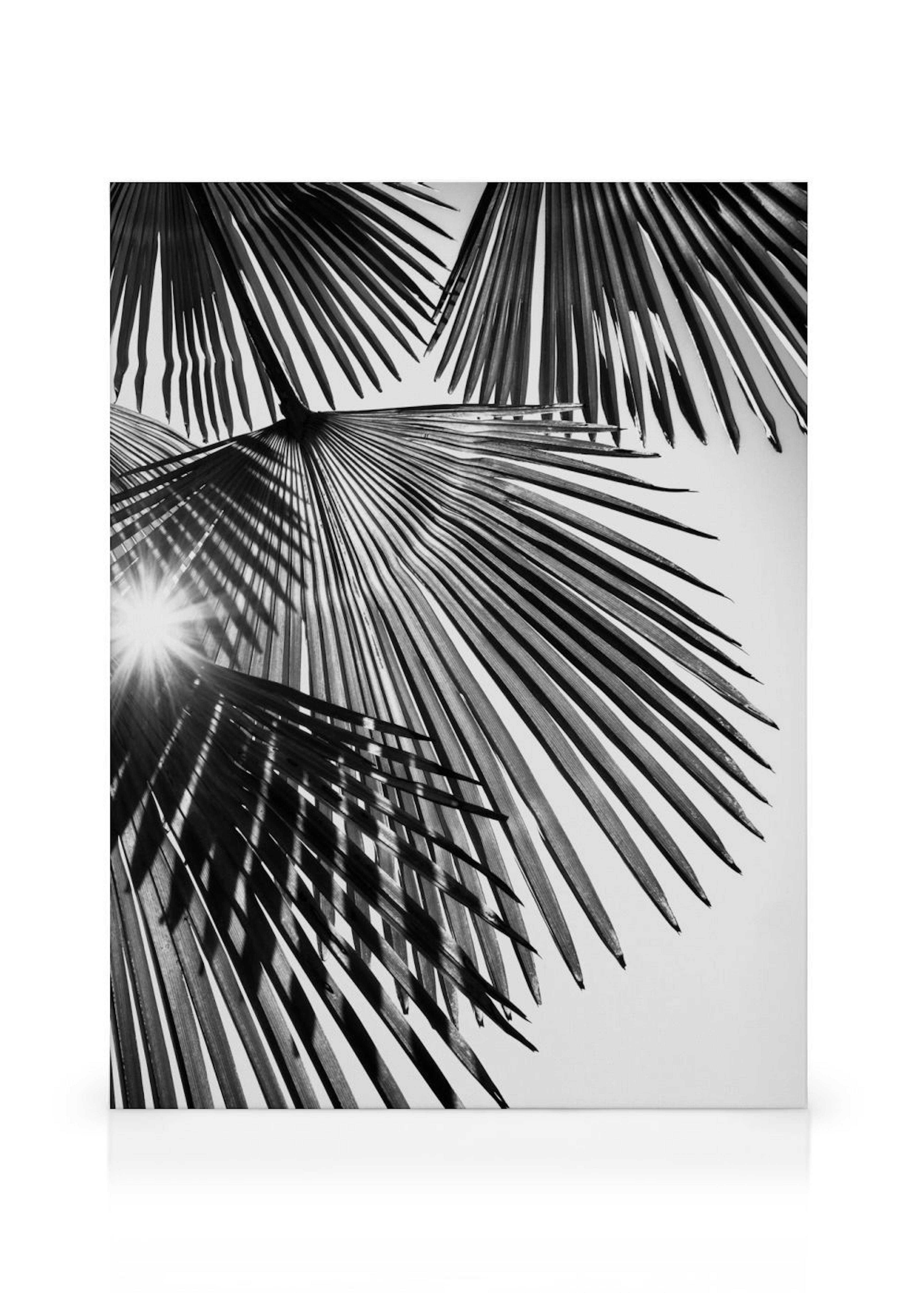 Product image: 1