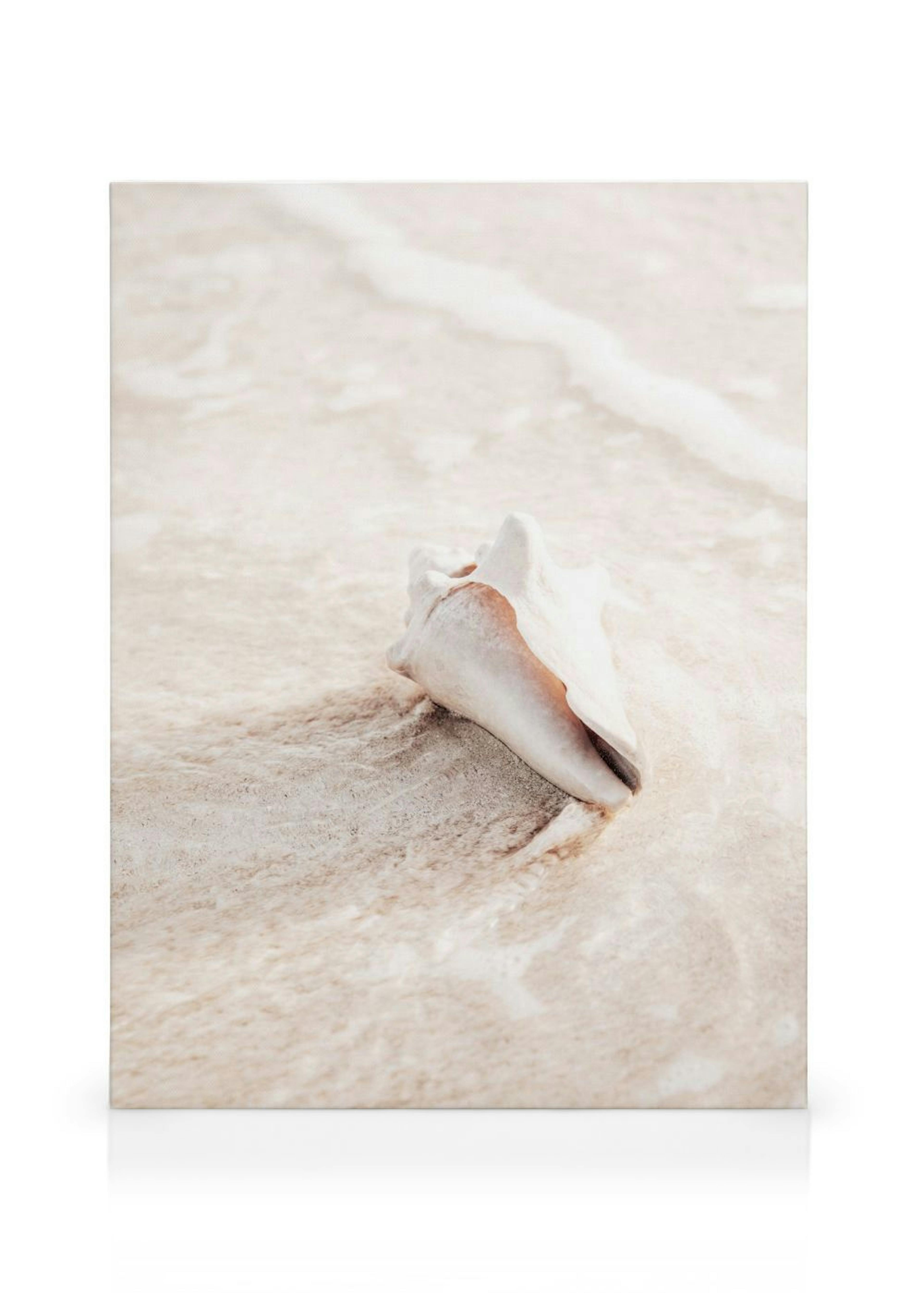 Product image: 1