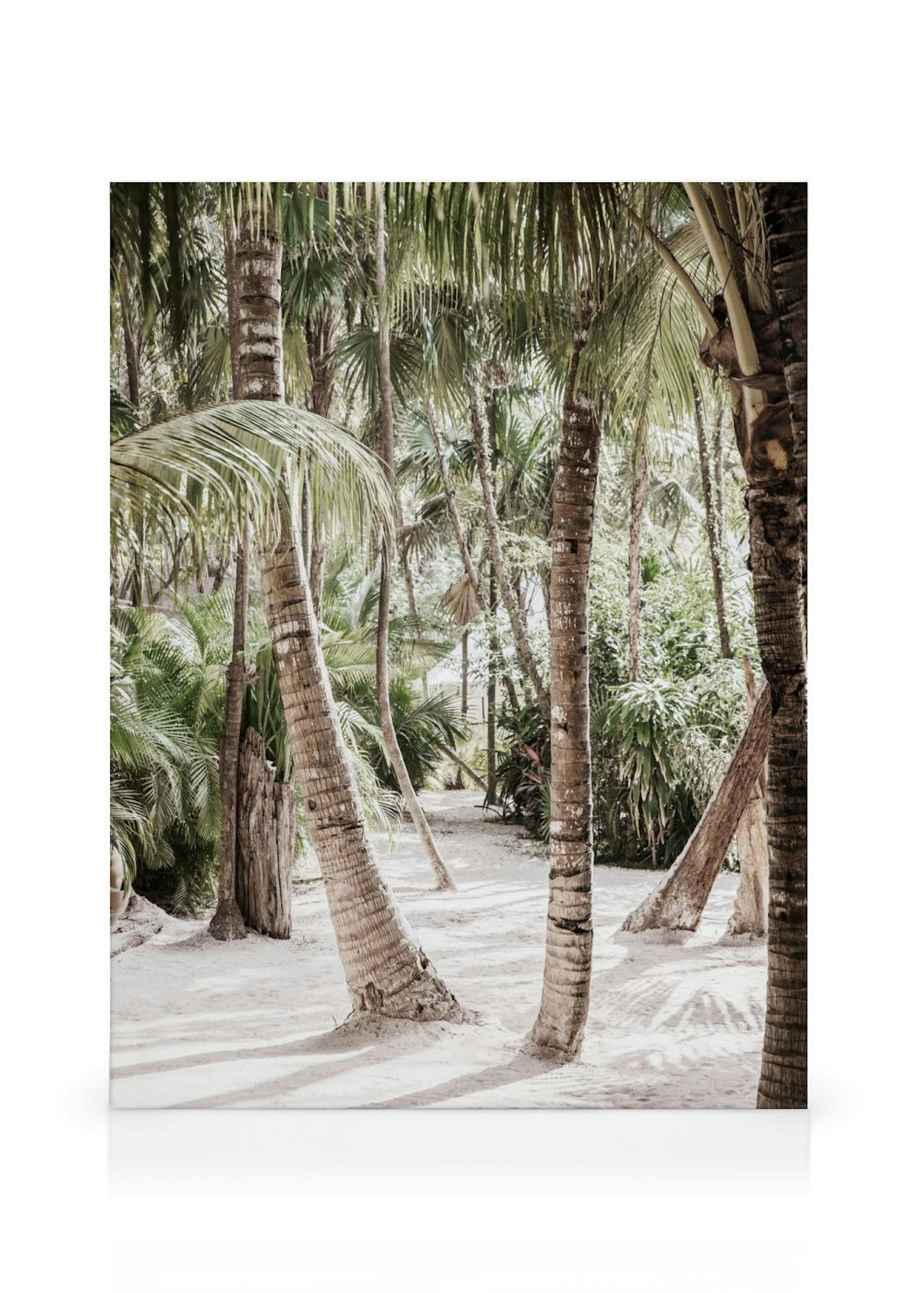 Between the Palms Toile