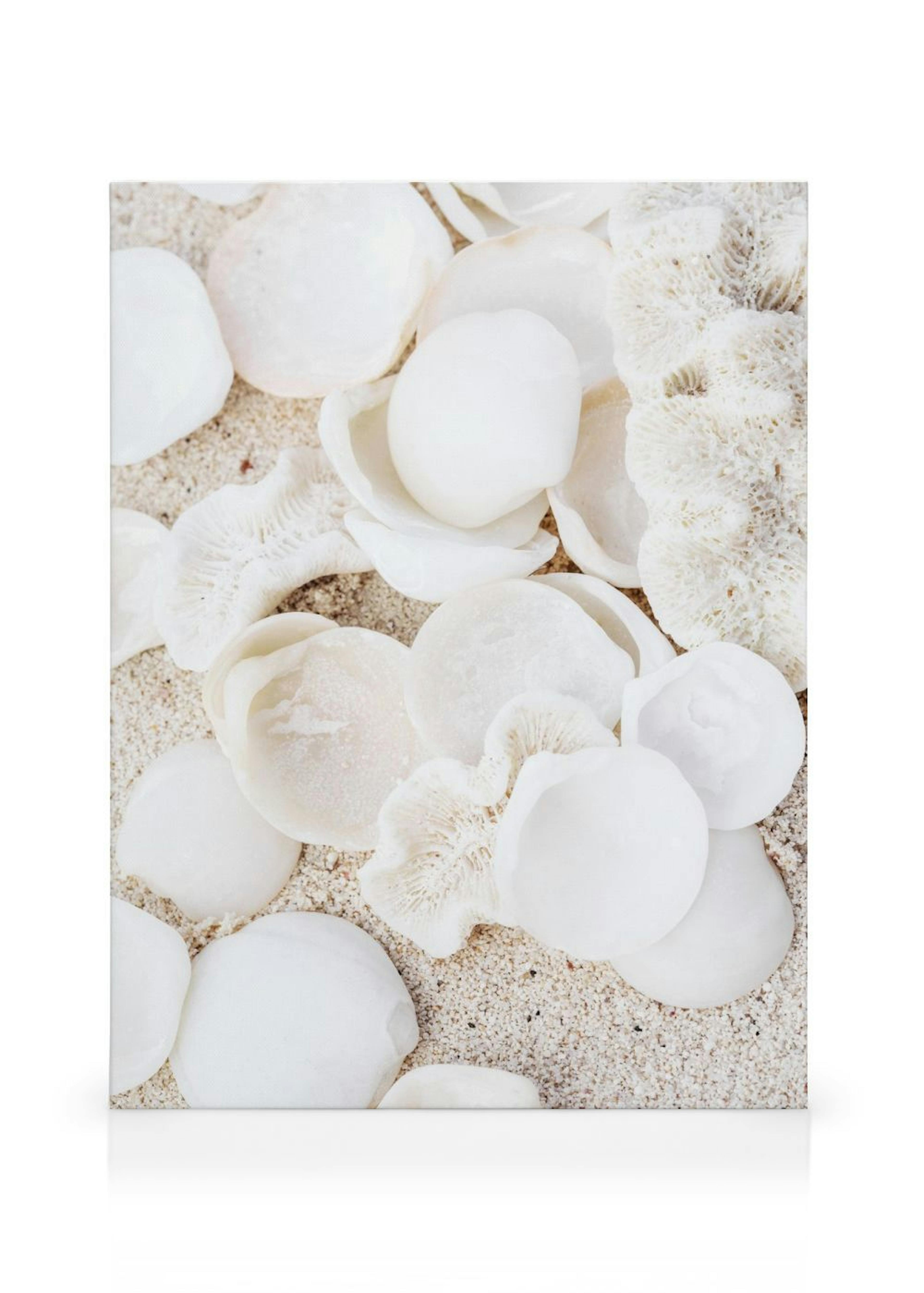 Product image: 1