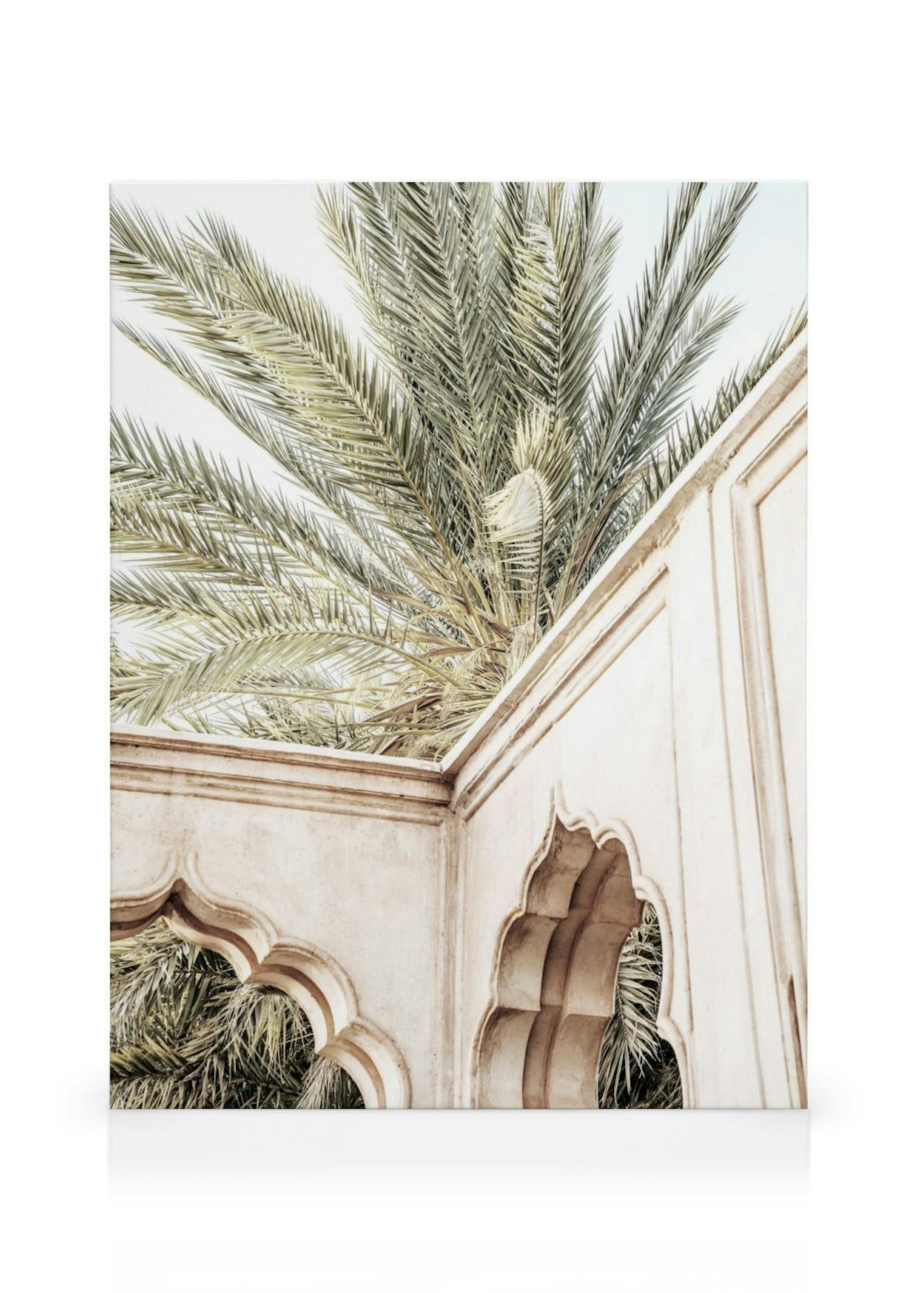 Palm Curves Canvastavla