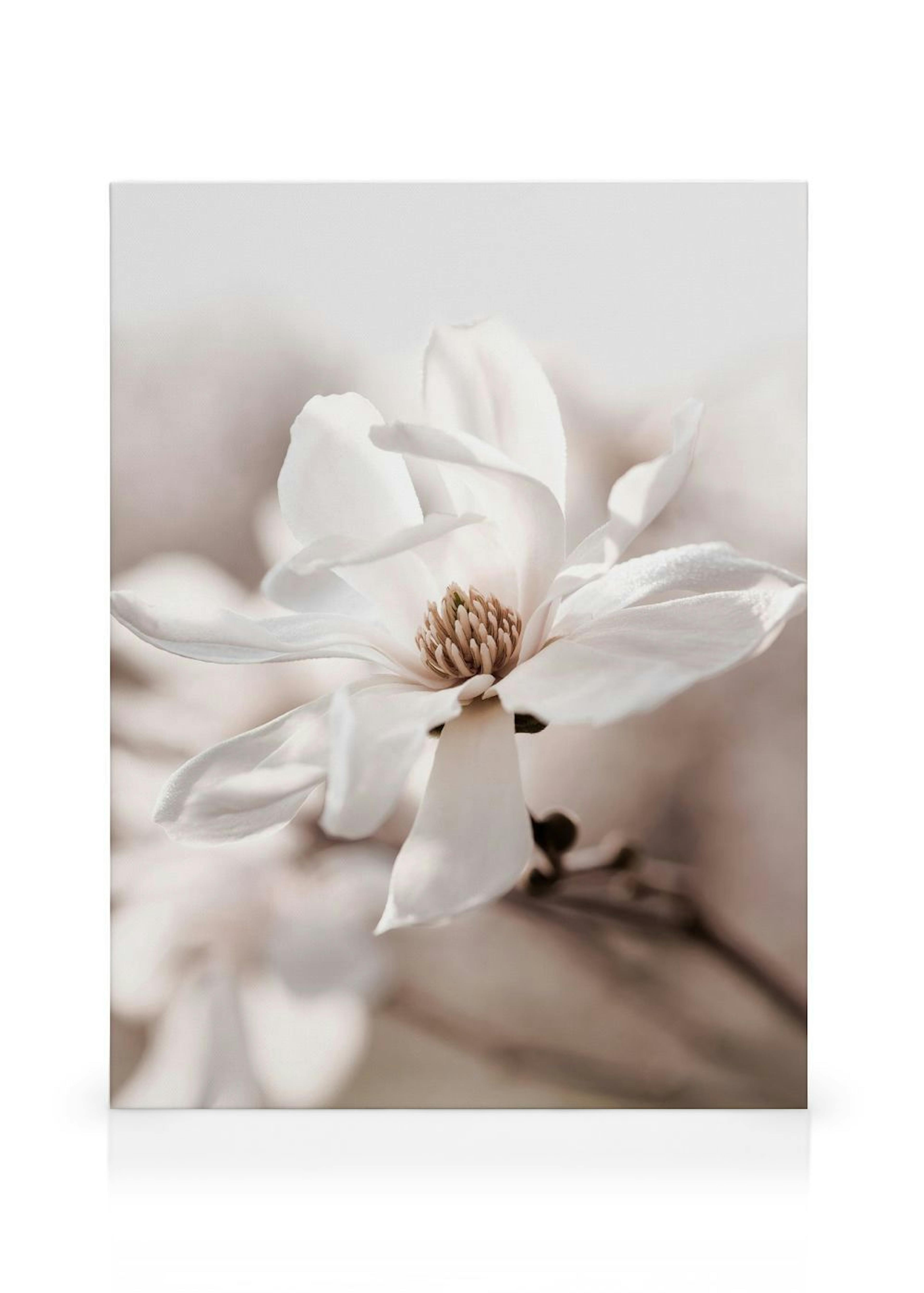 Product image: 1