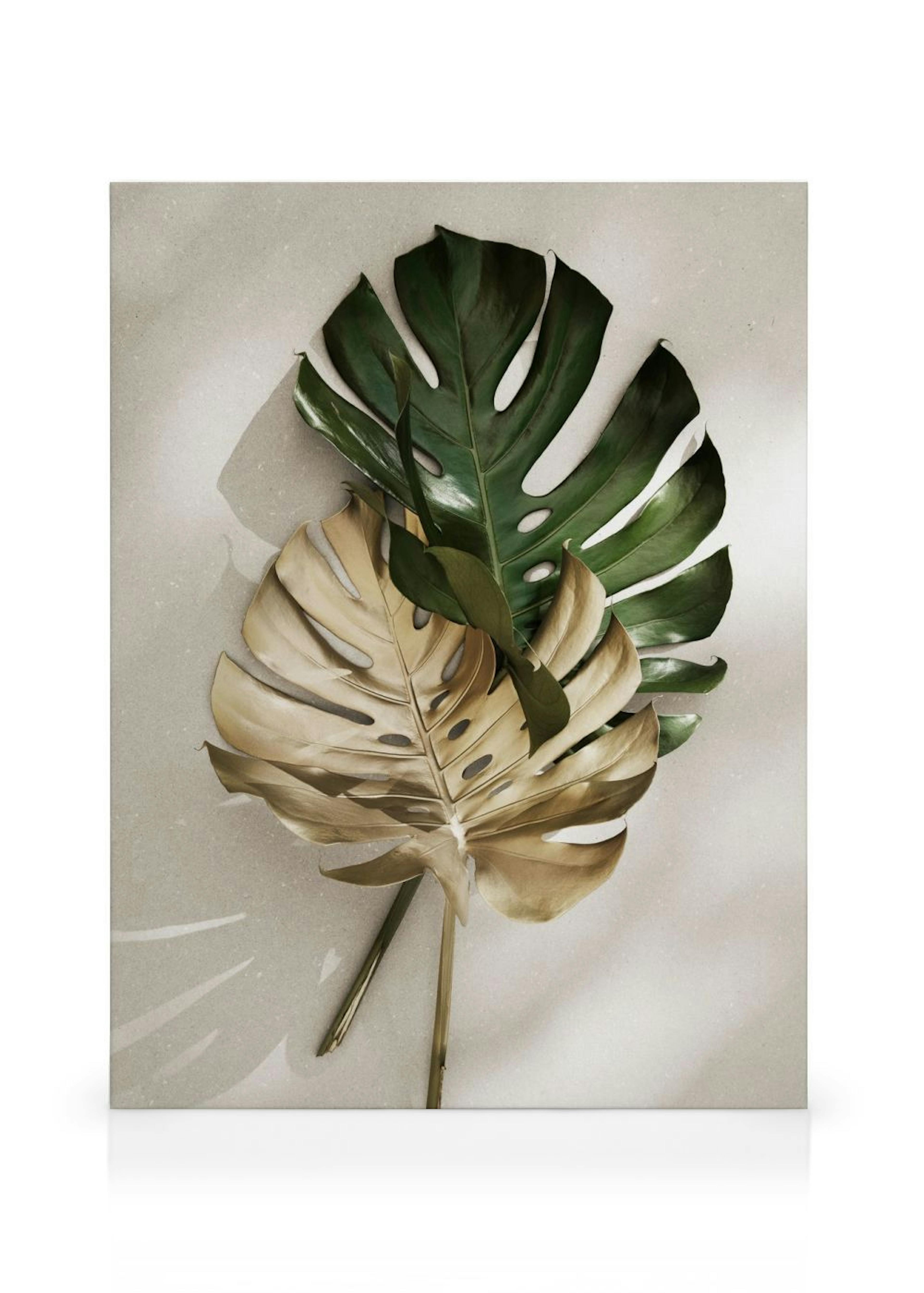 Gold Monstera No1 Obraz na płótnie
