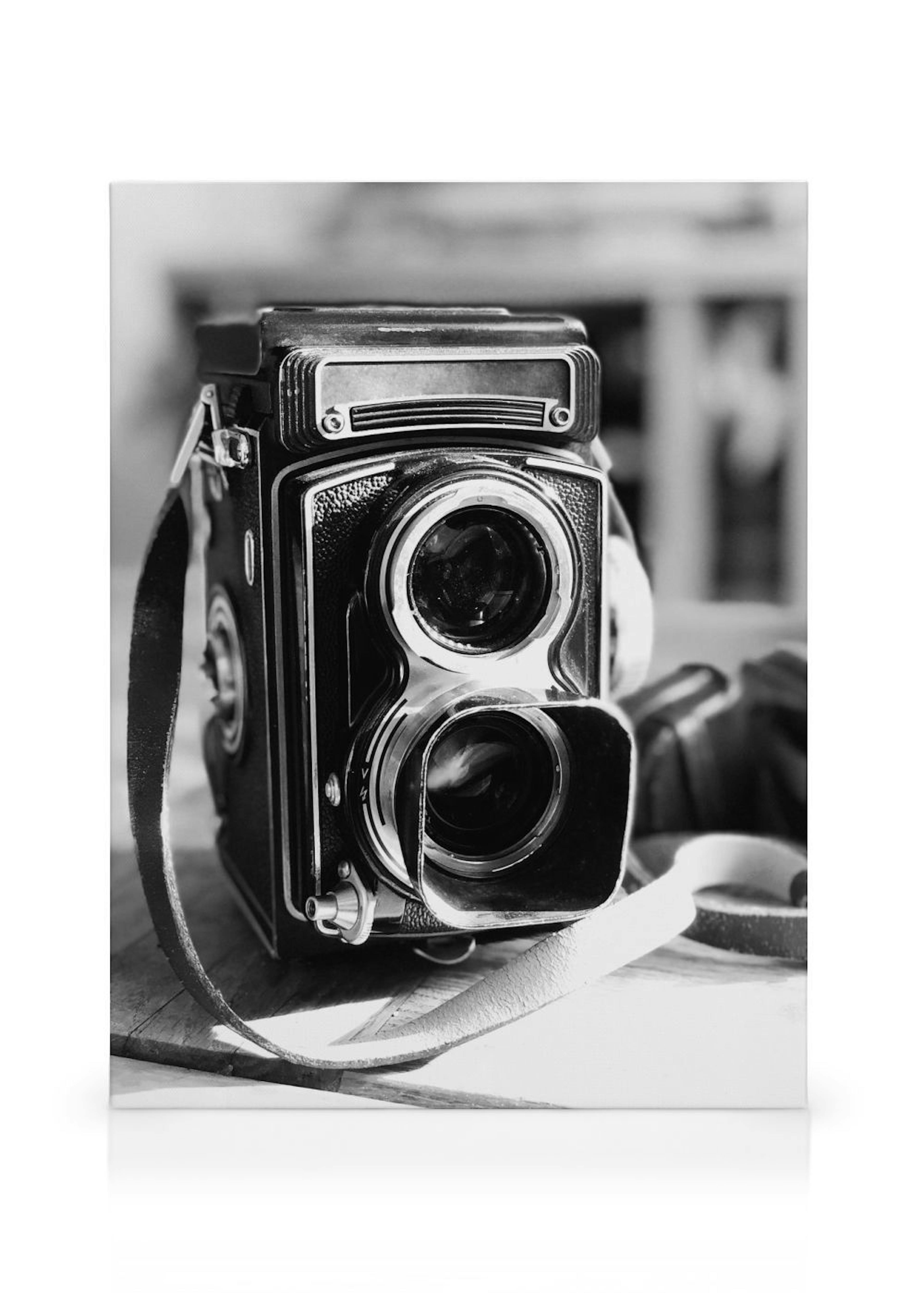 Old Style Camera Tela