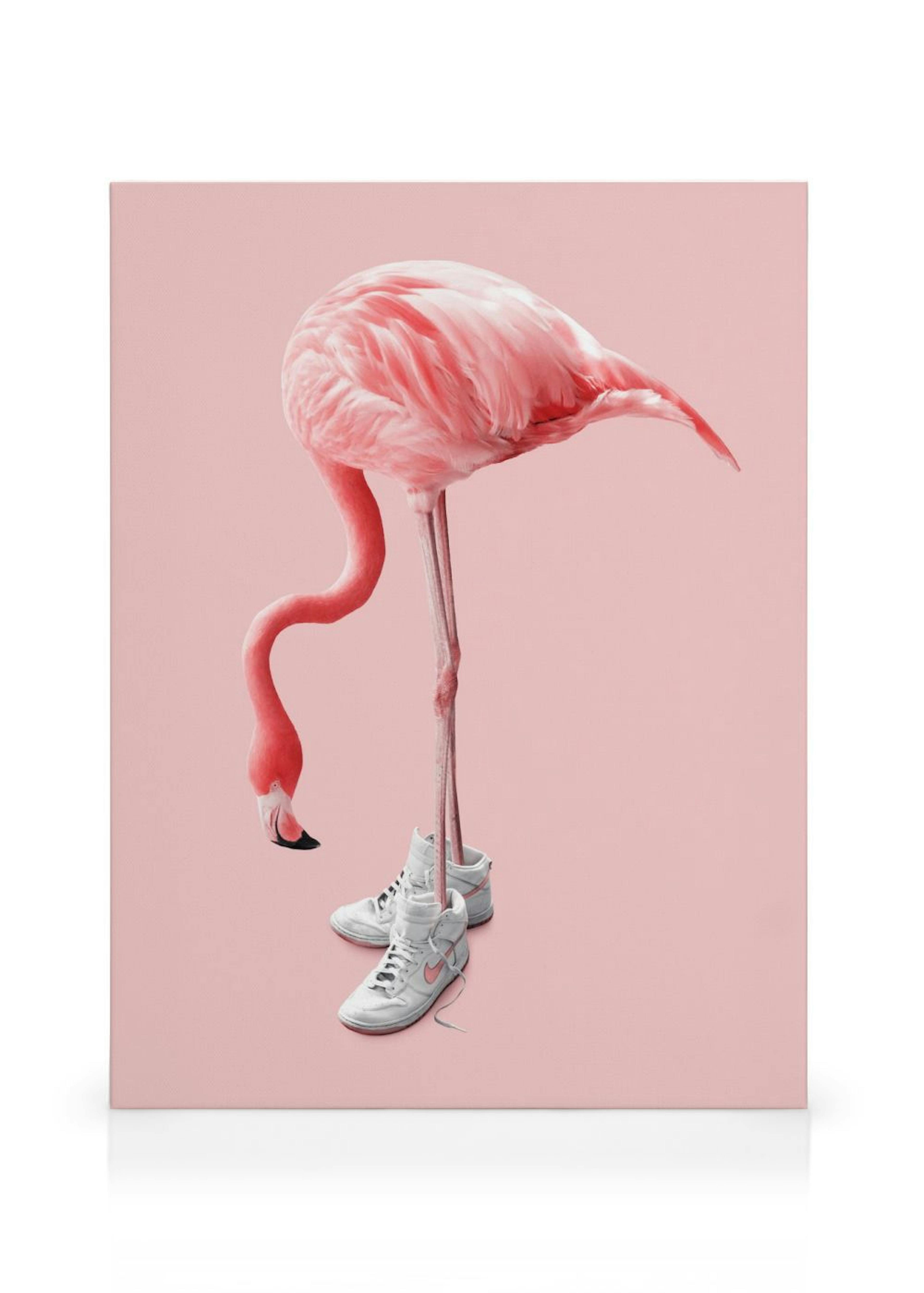 Jonas Loose - Sneaker Flamingo Canvas print