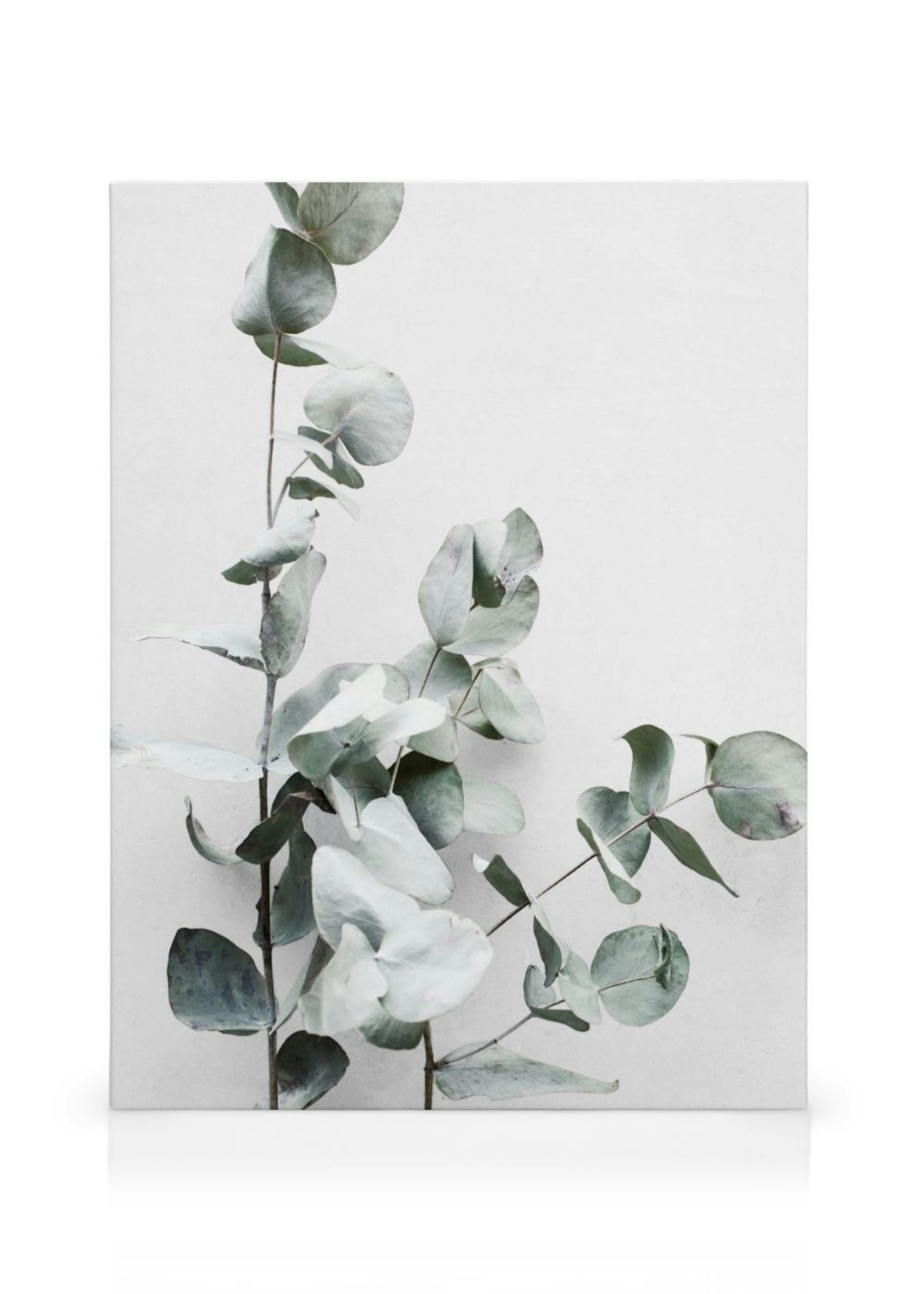 Product image: 1