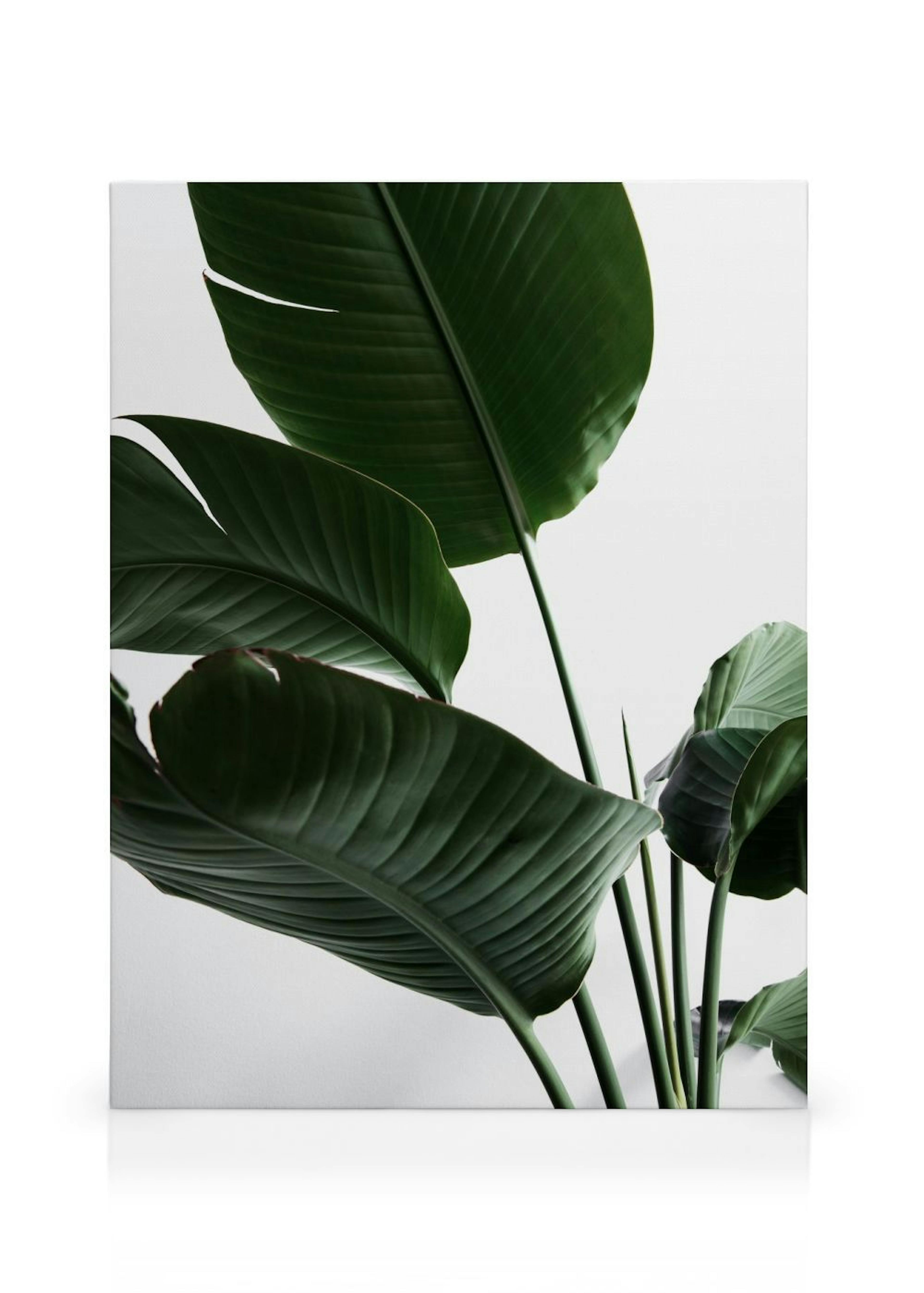 Product image: 1