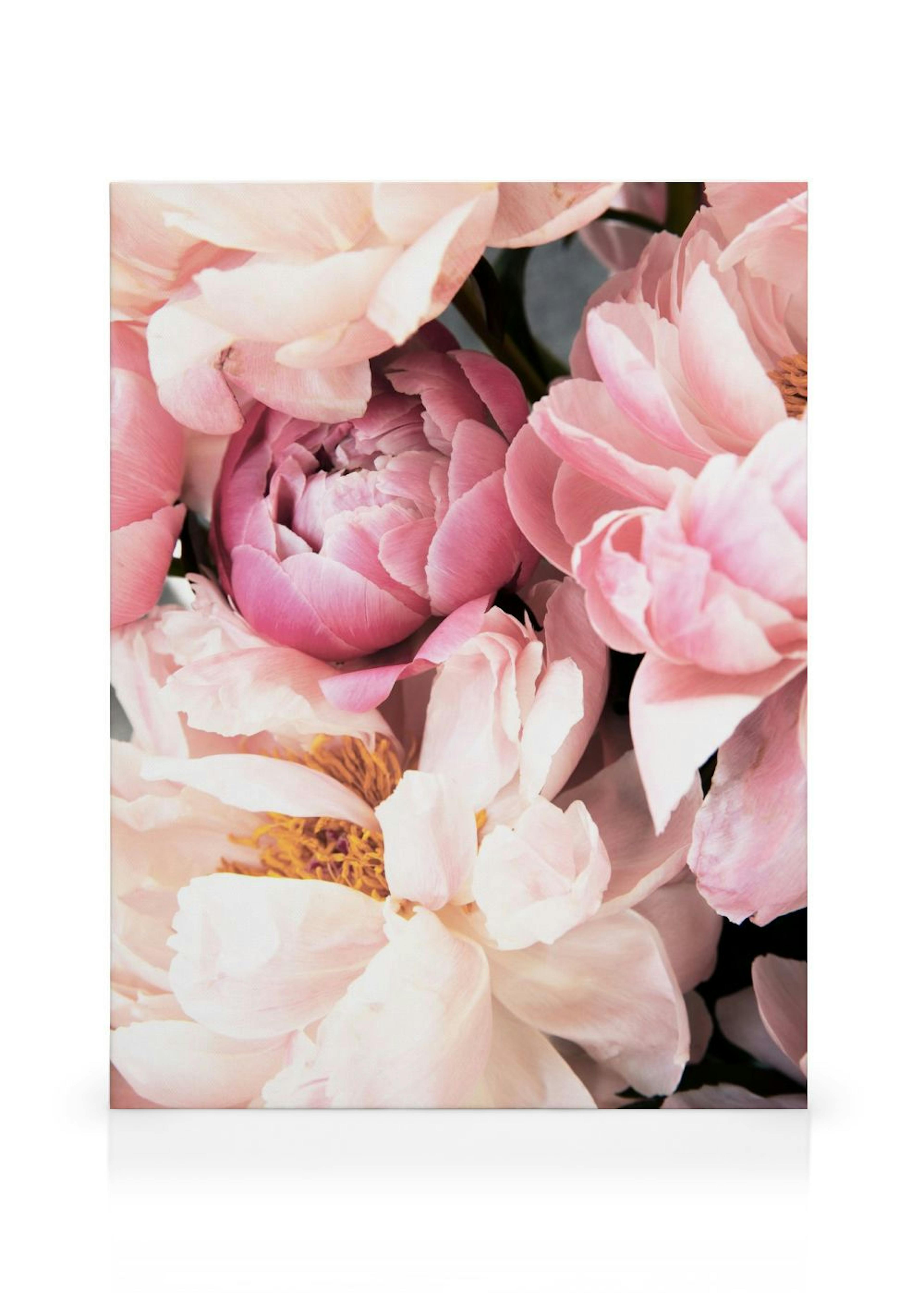 Pink Peonies No2 Canvas print