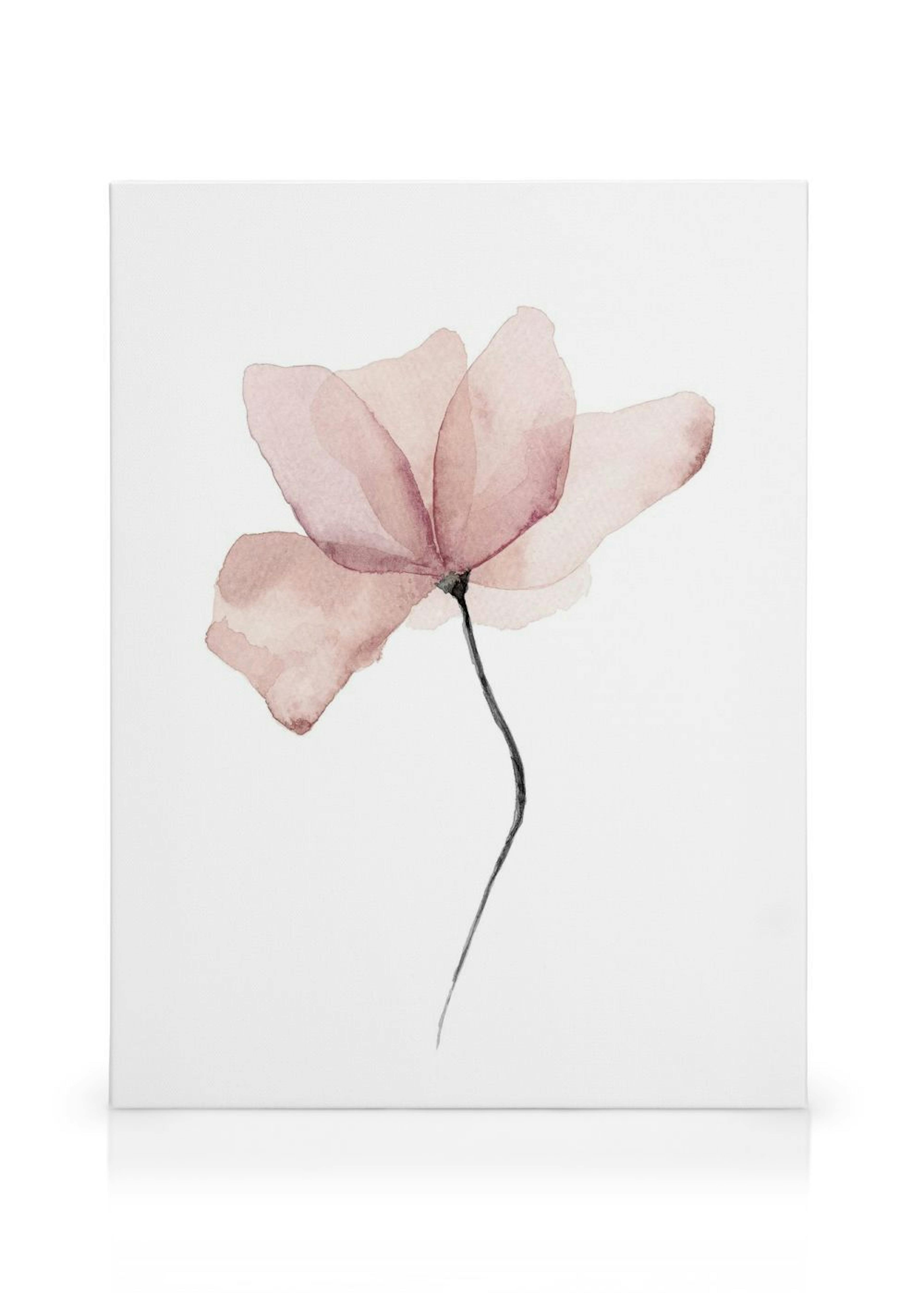 Product image: 1