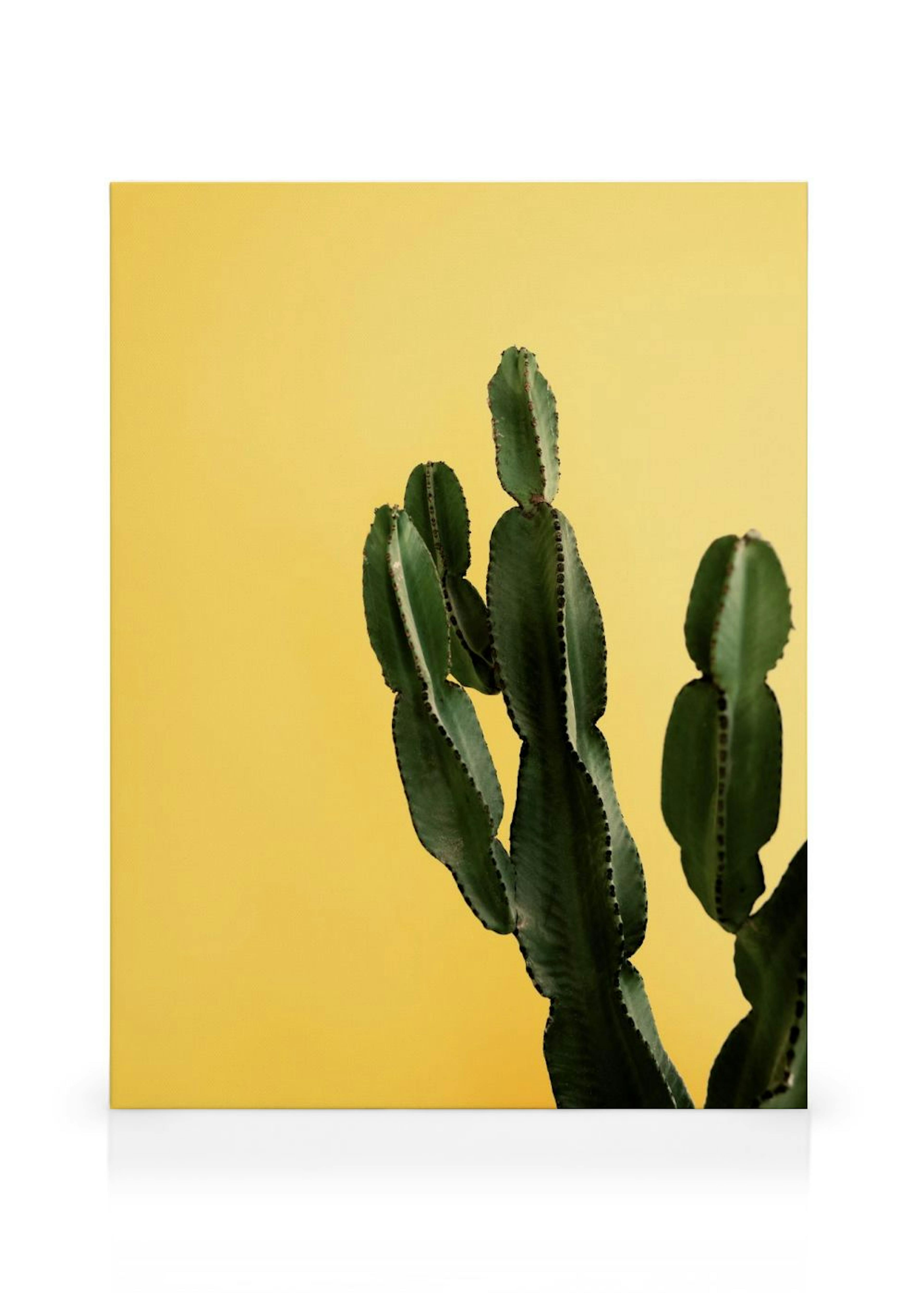 Yellow Cactus Kanvaasi