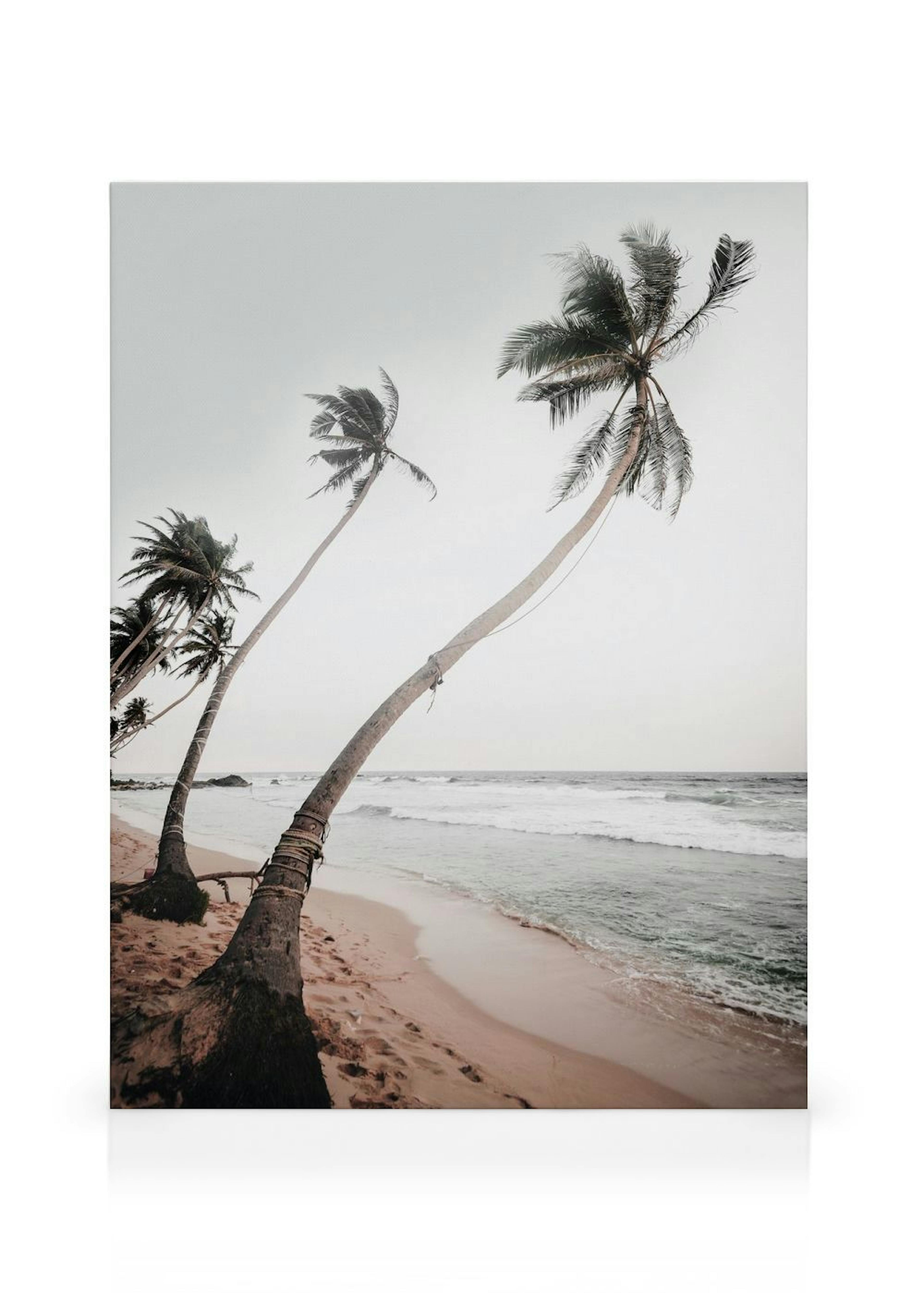 Product image: 1