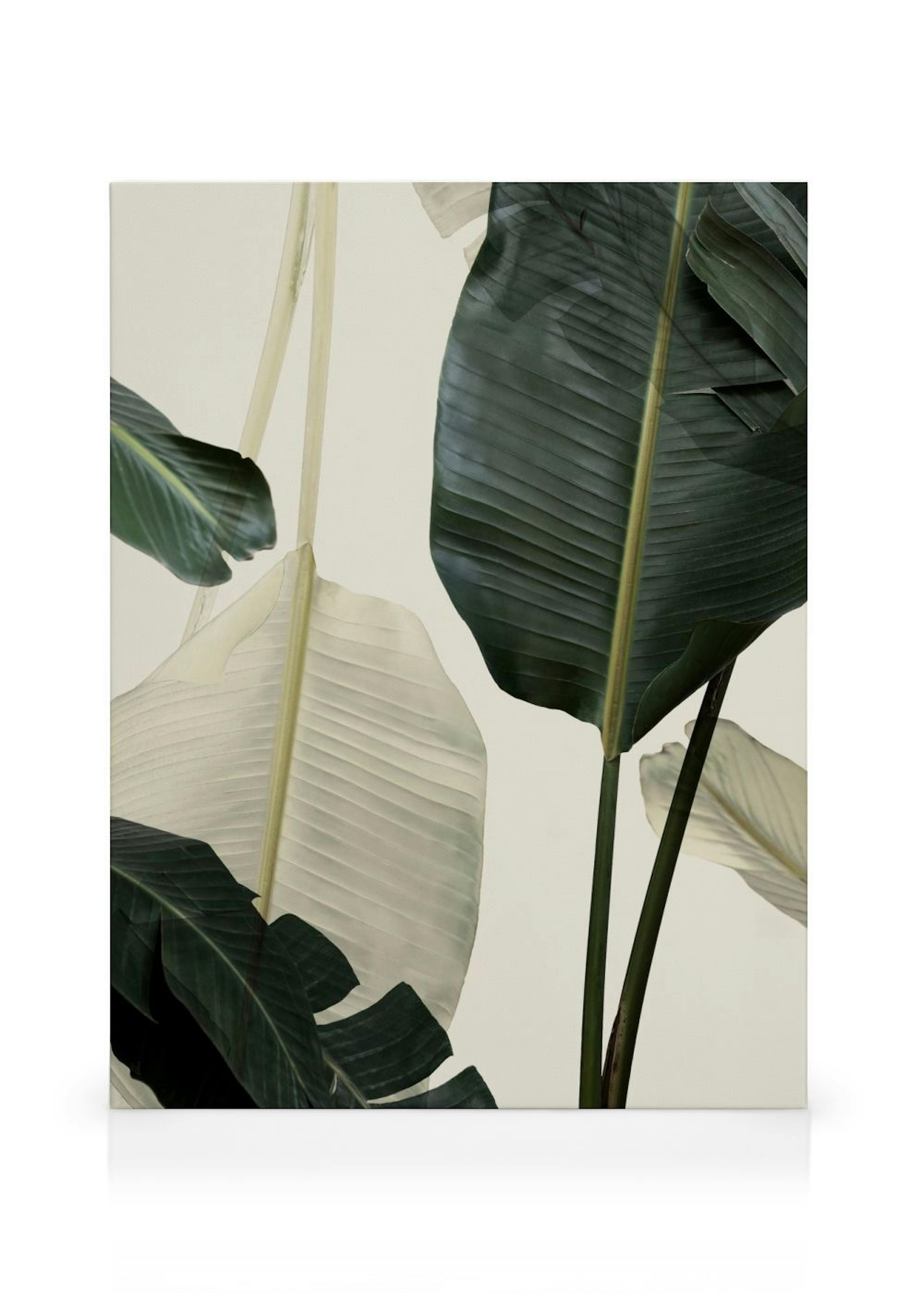 Product image: 1