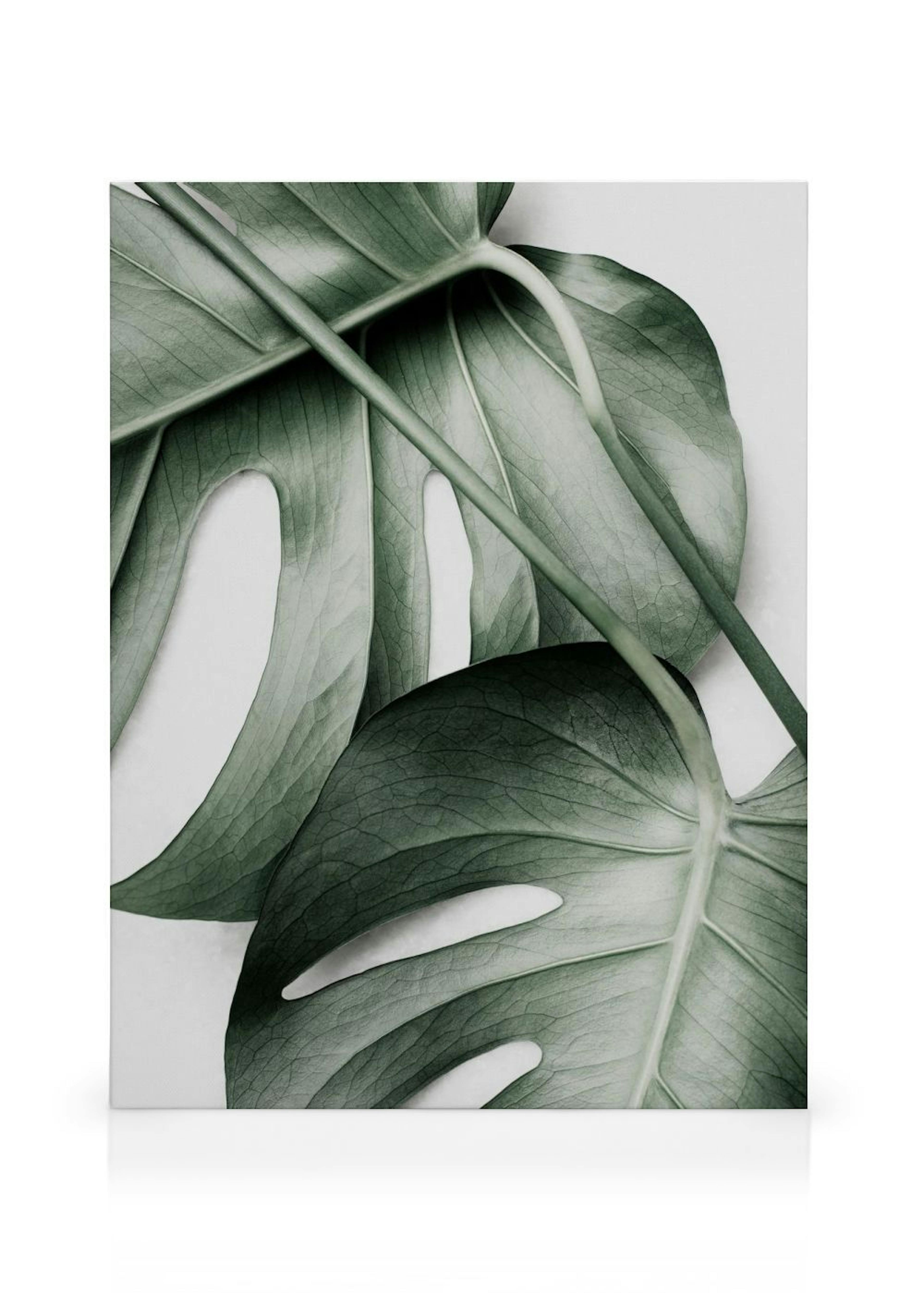 Product image: 1
