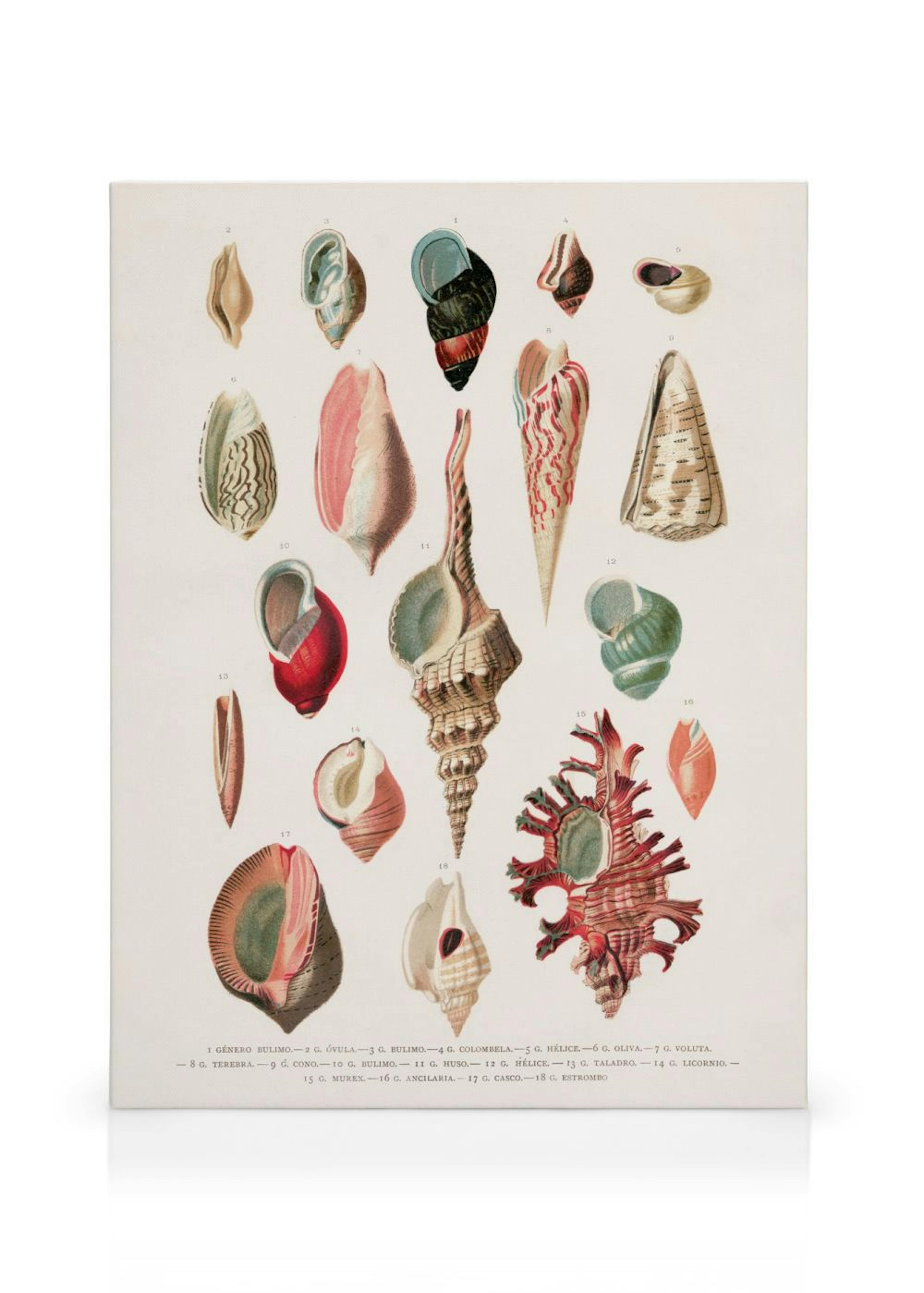 Product image: 1