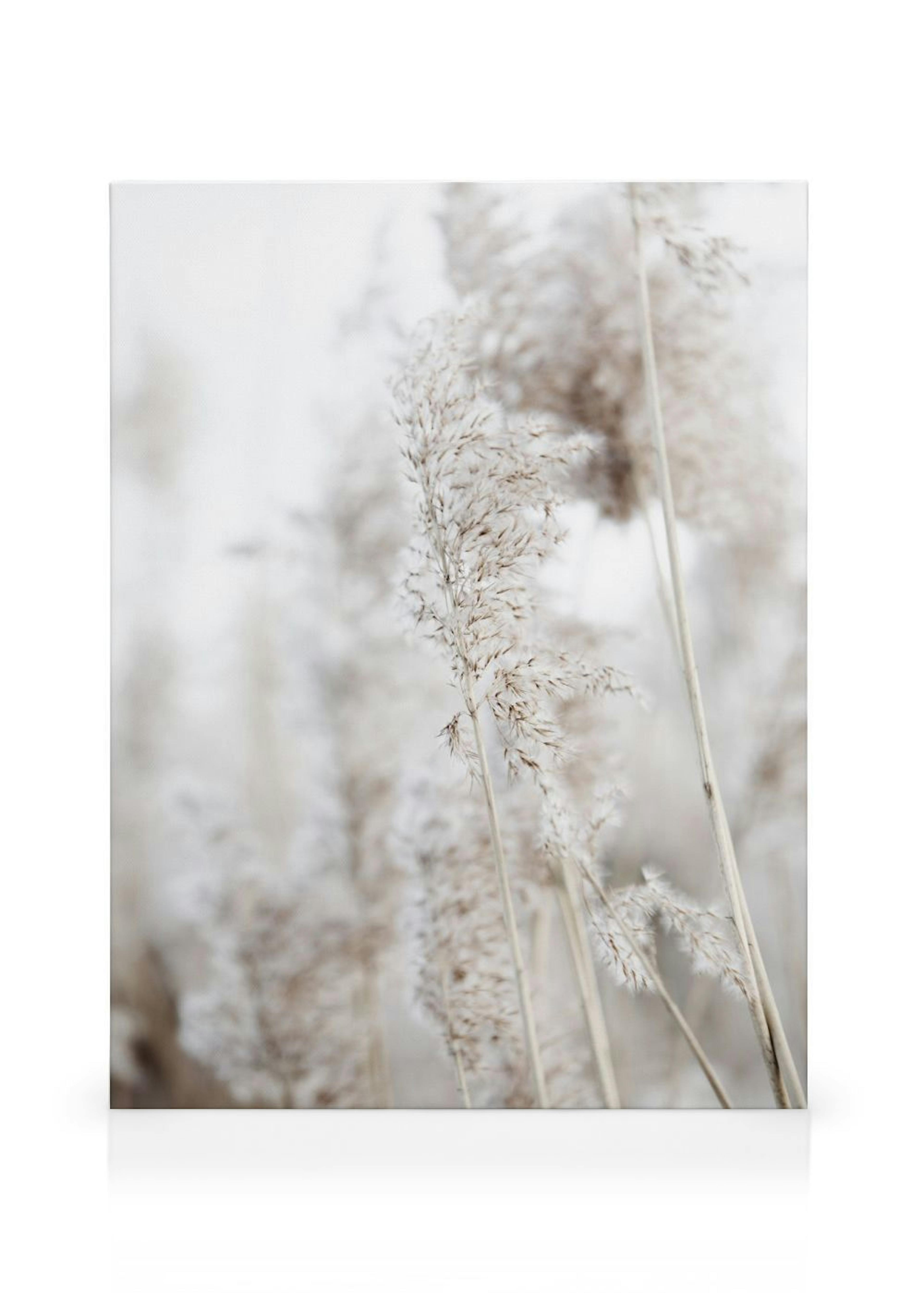 Product image: 1