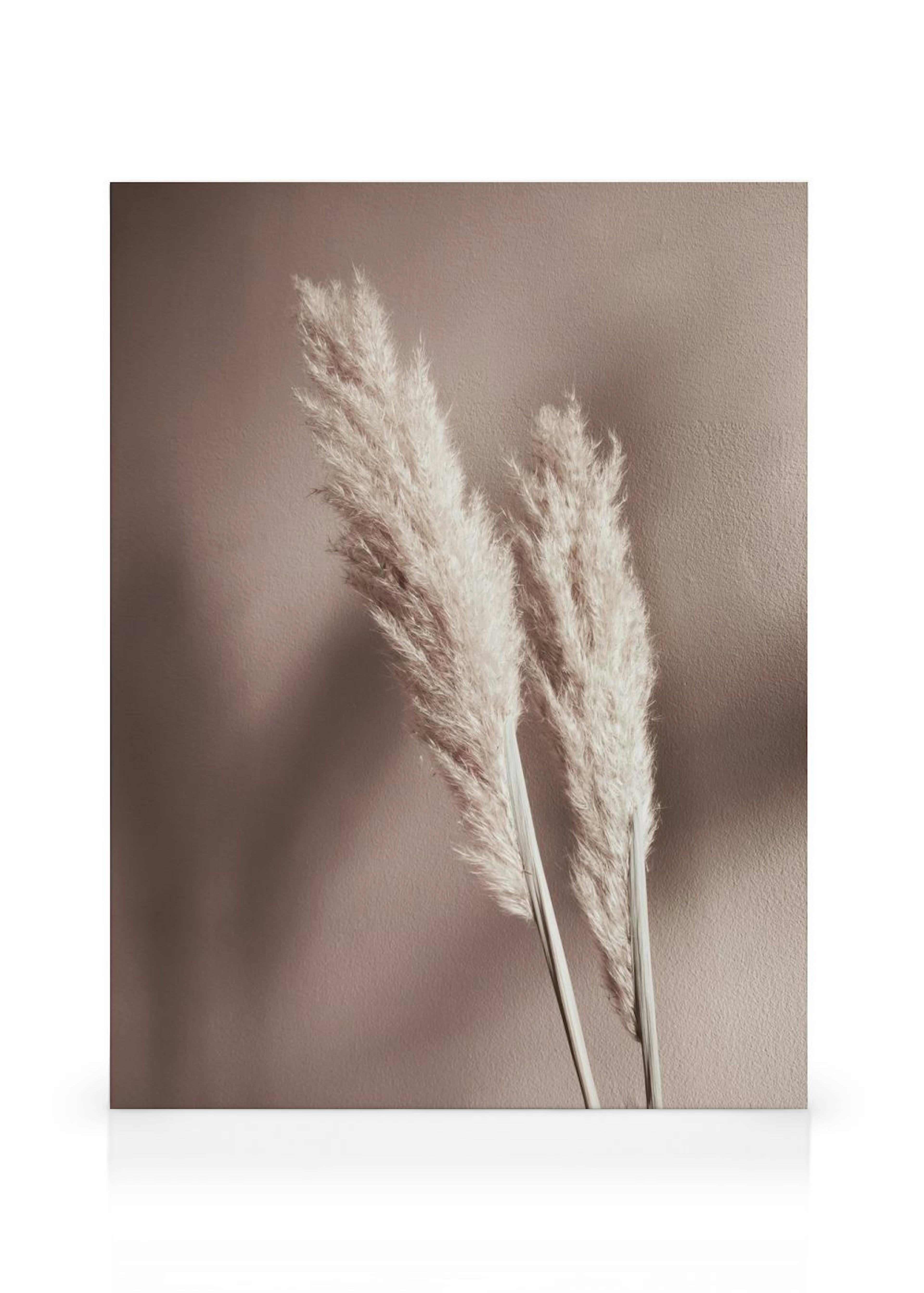 Product image: 1