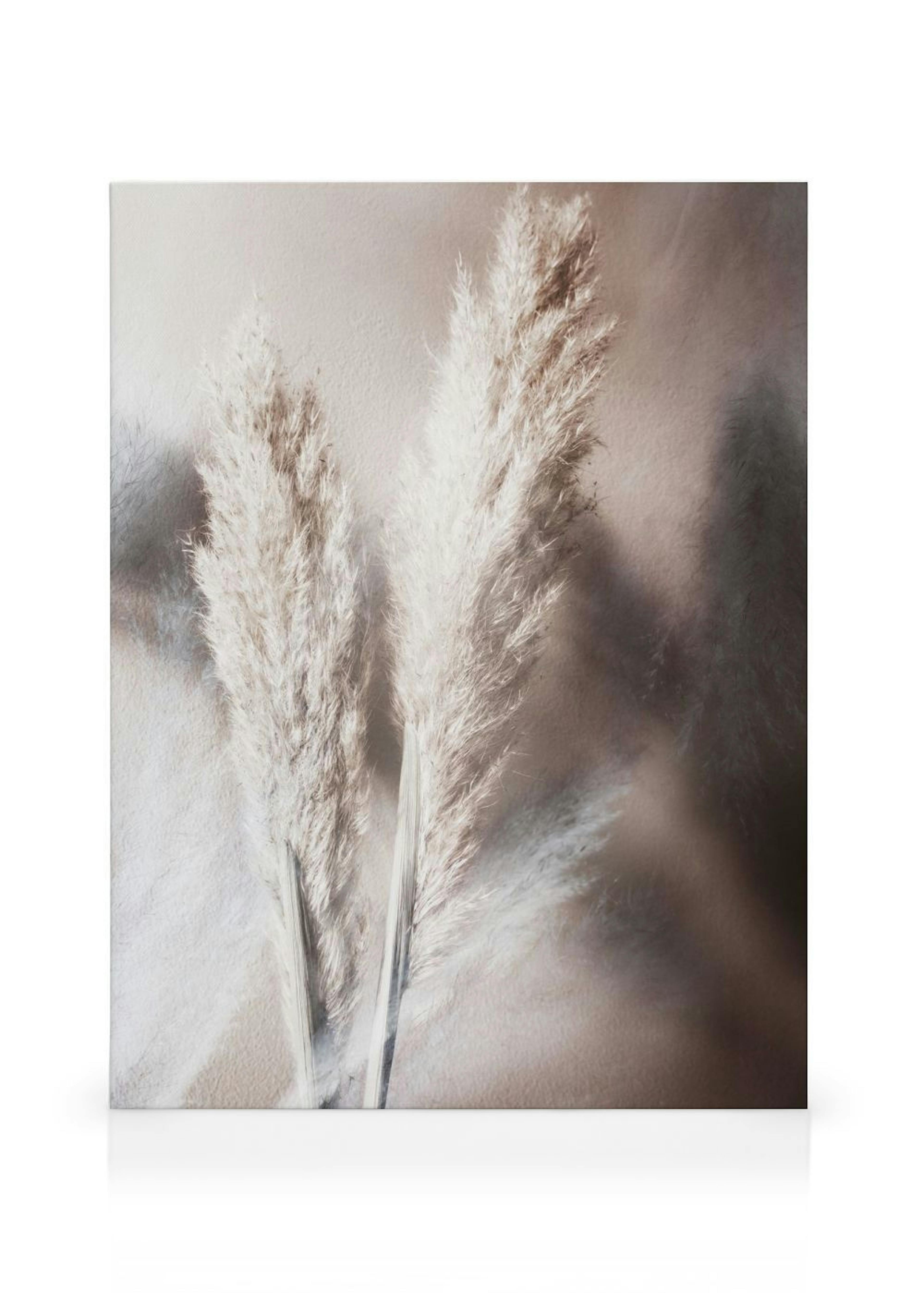 Abstract Reeds No1 Canvas