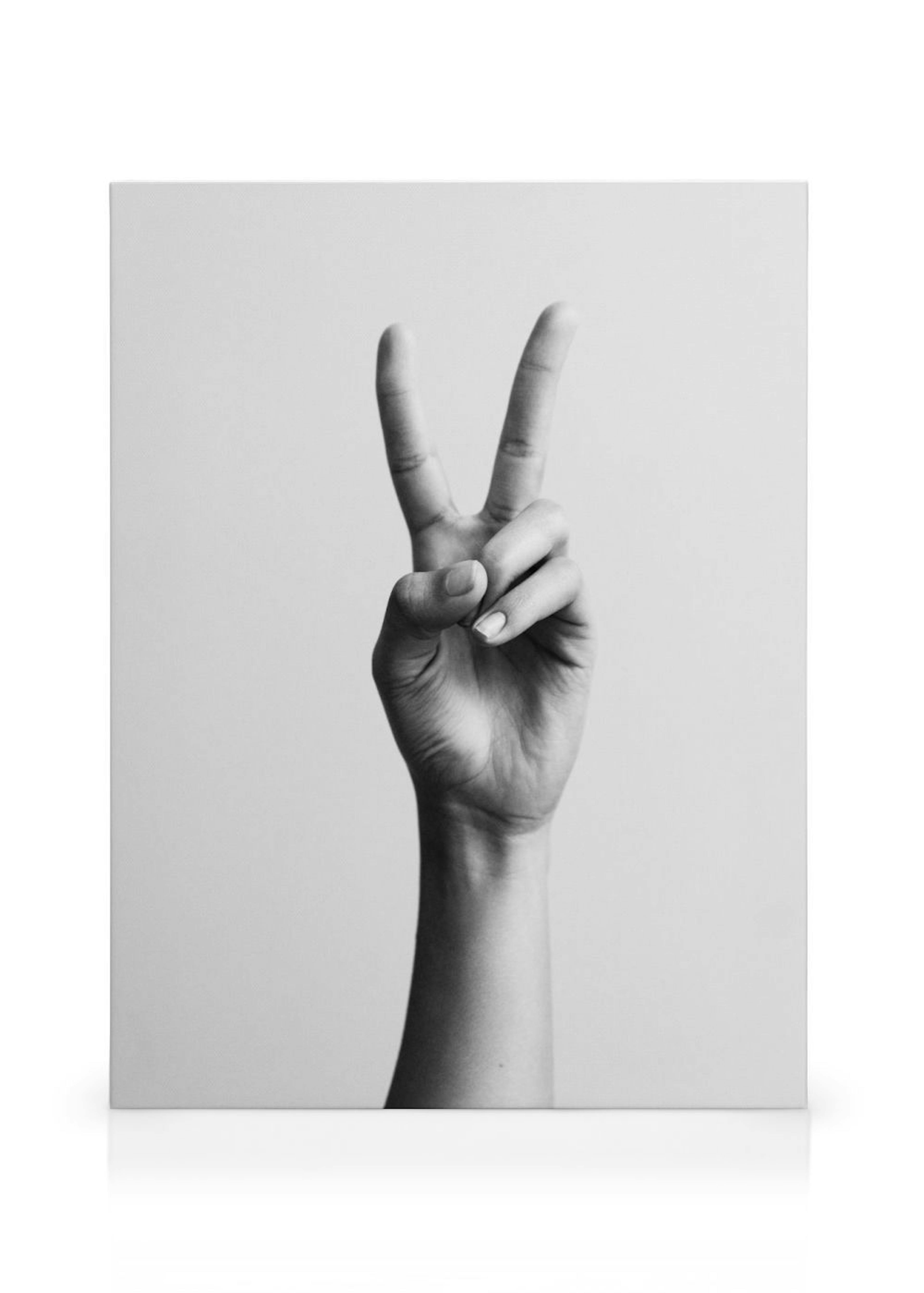 Product image: 1