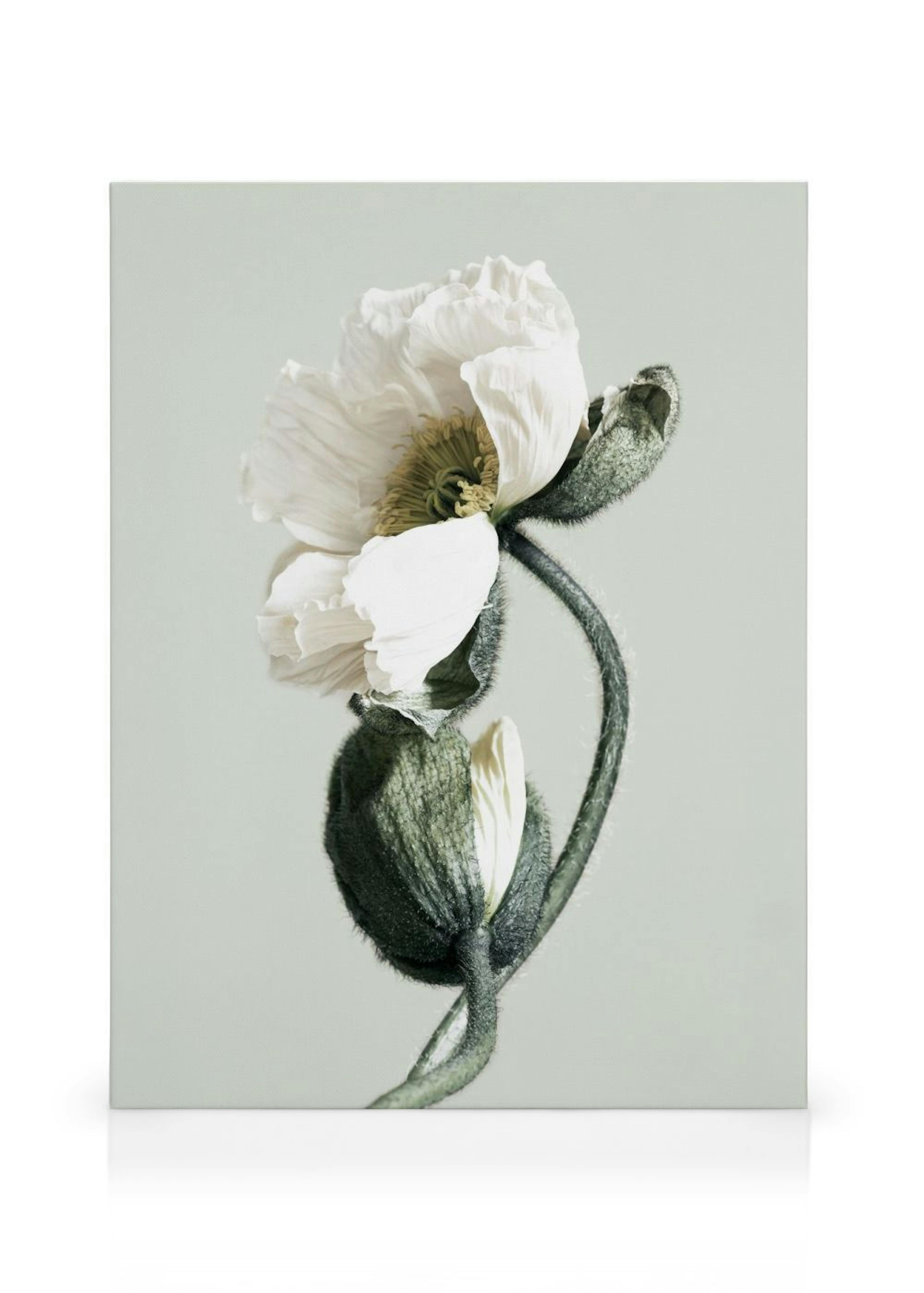Product image: 1