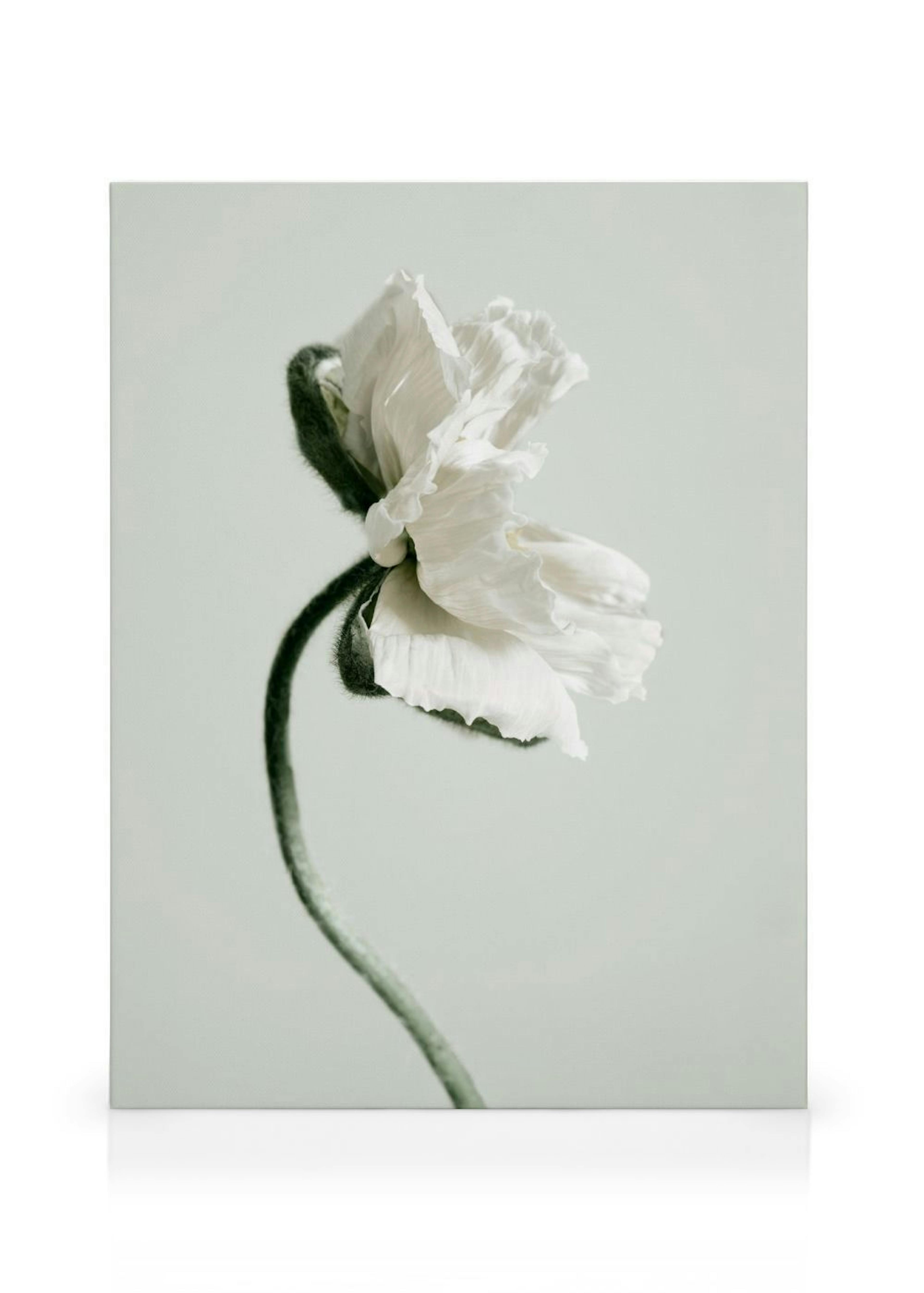 Product image: 1