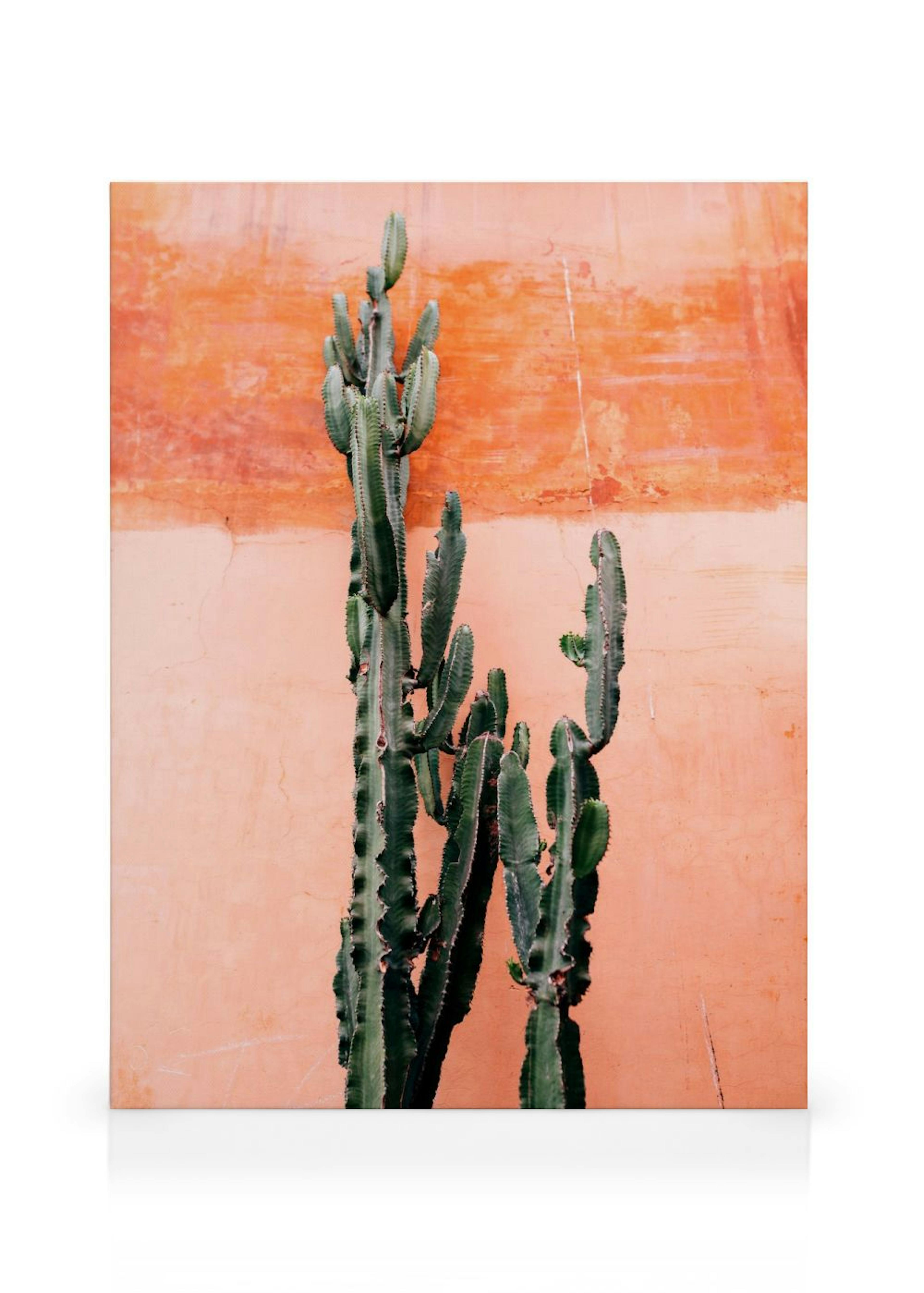 Orange Cactus Wall Toile