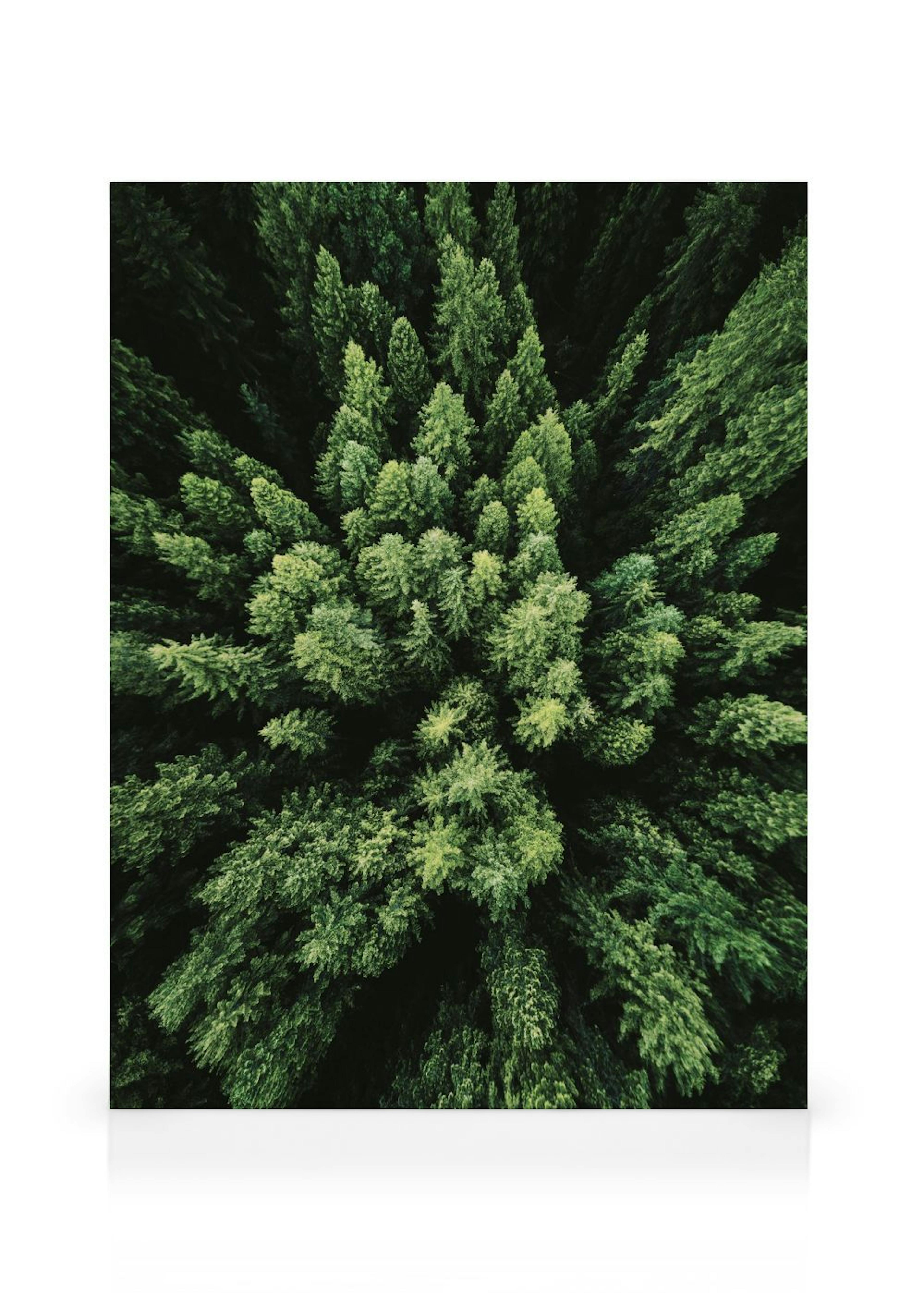 Product image: 1