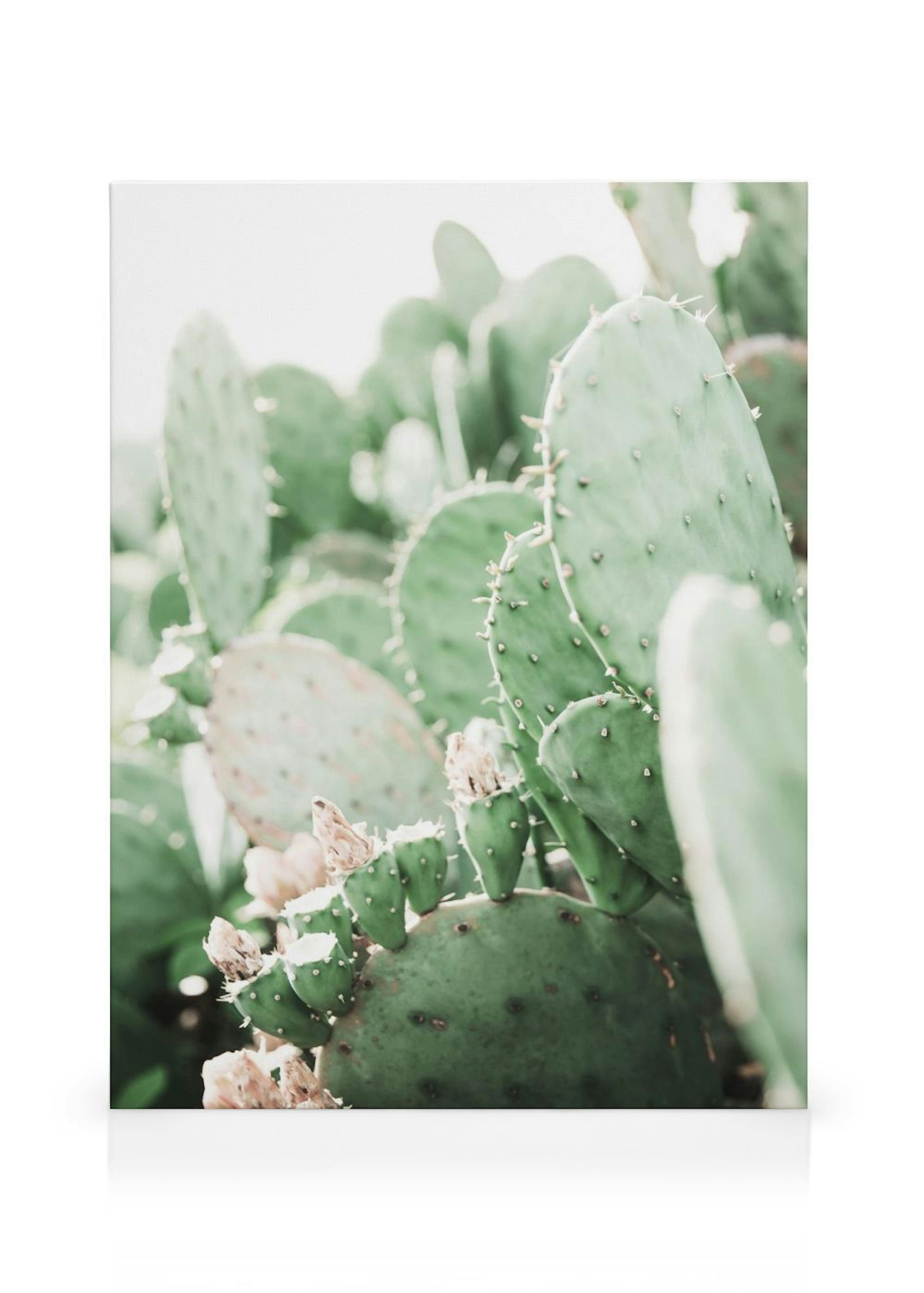 Product image: 1