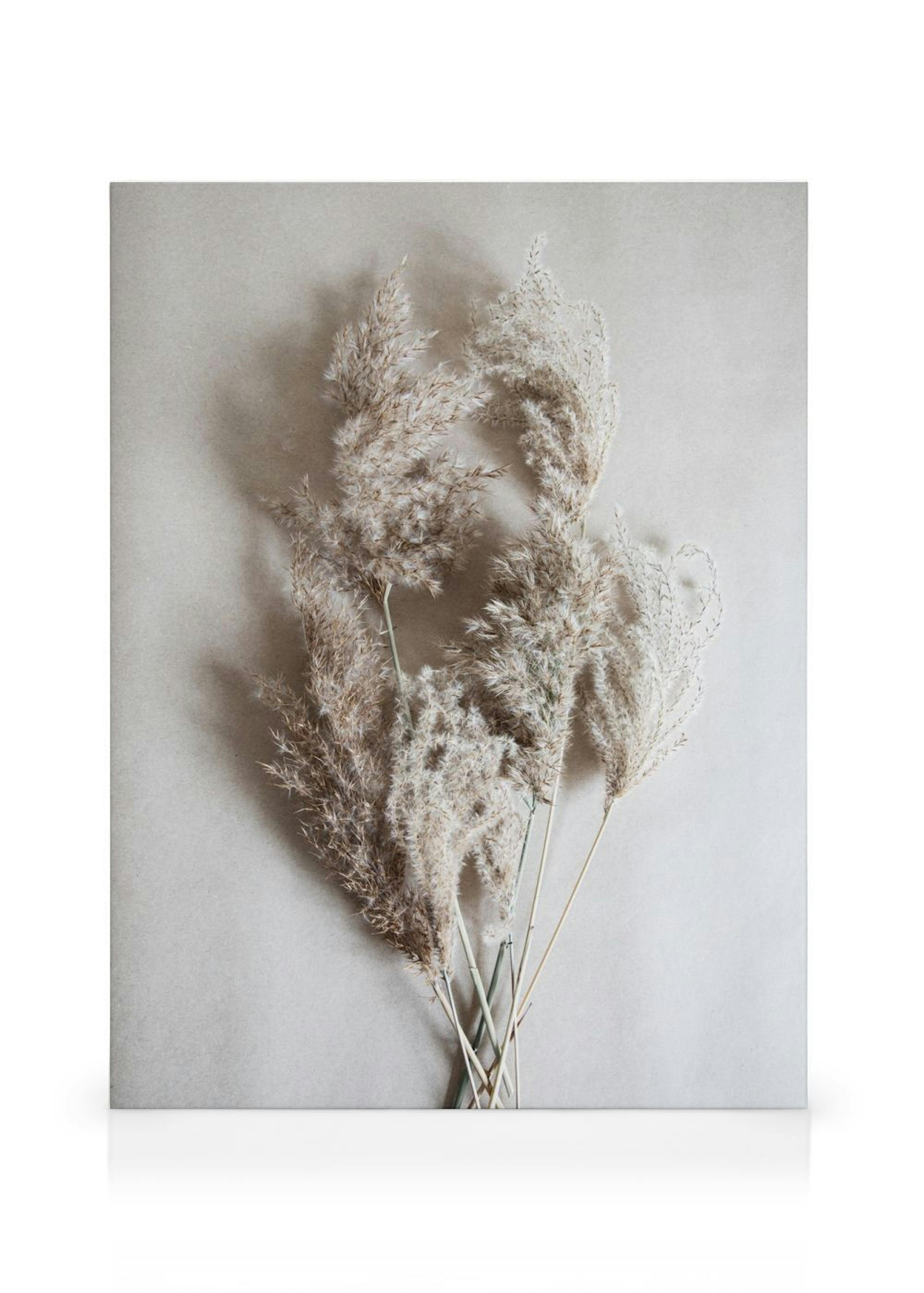 Product image: 1