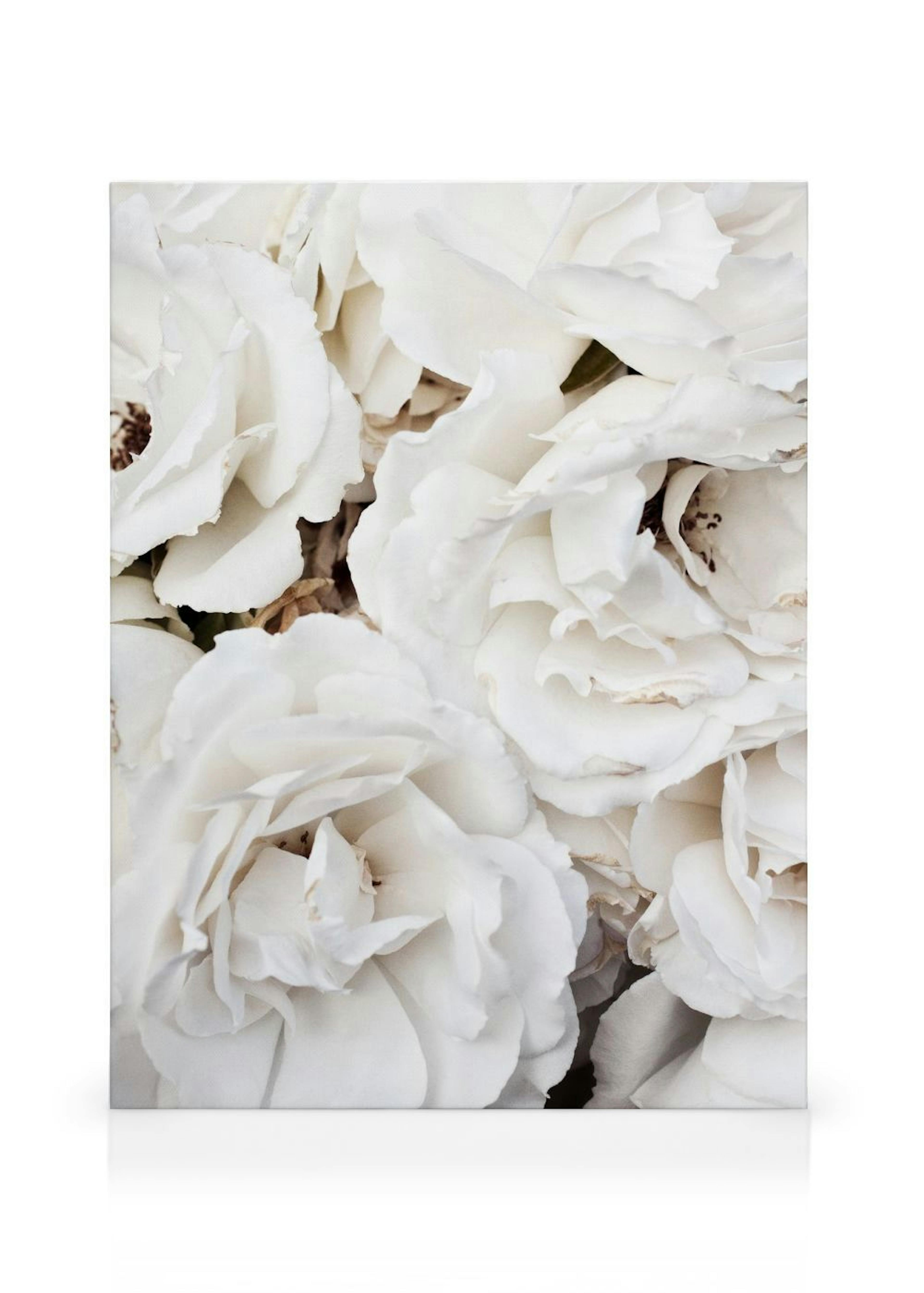 Product image: 1