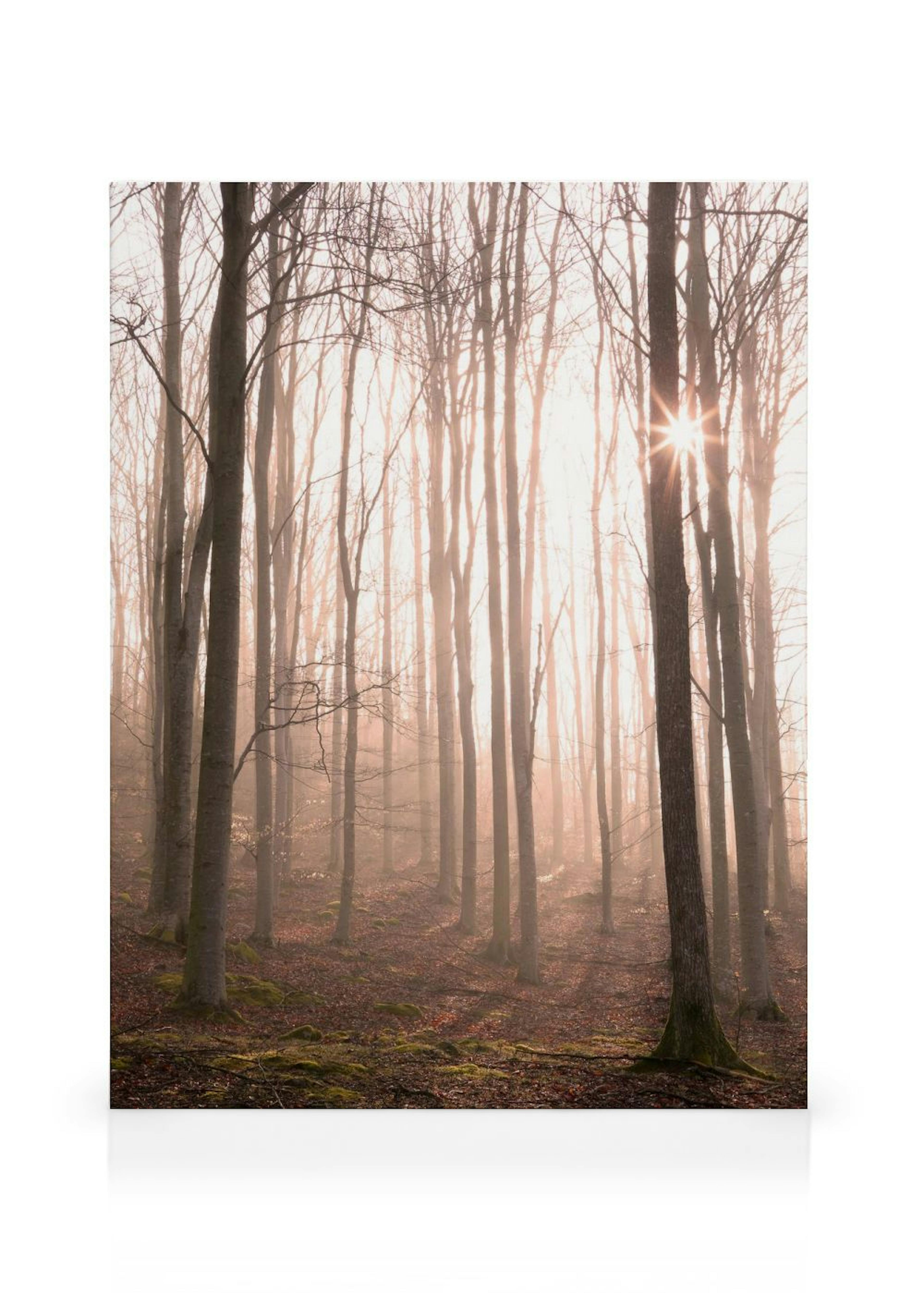 Product image: 1
