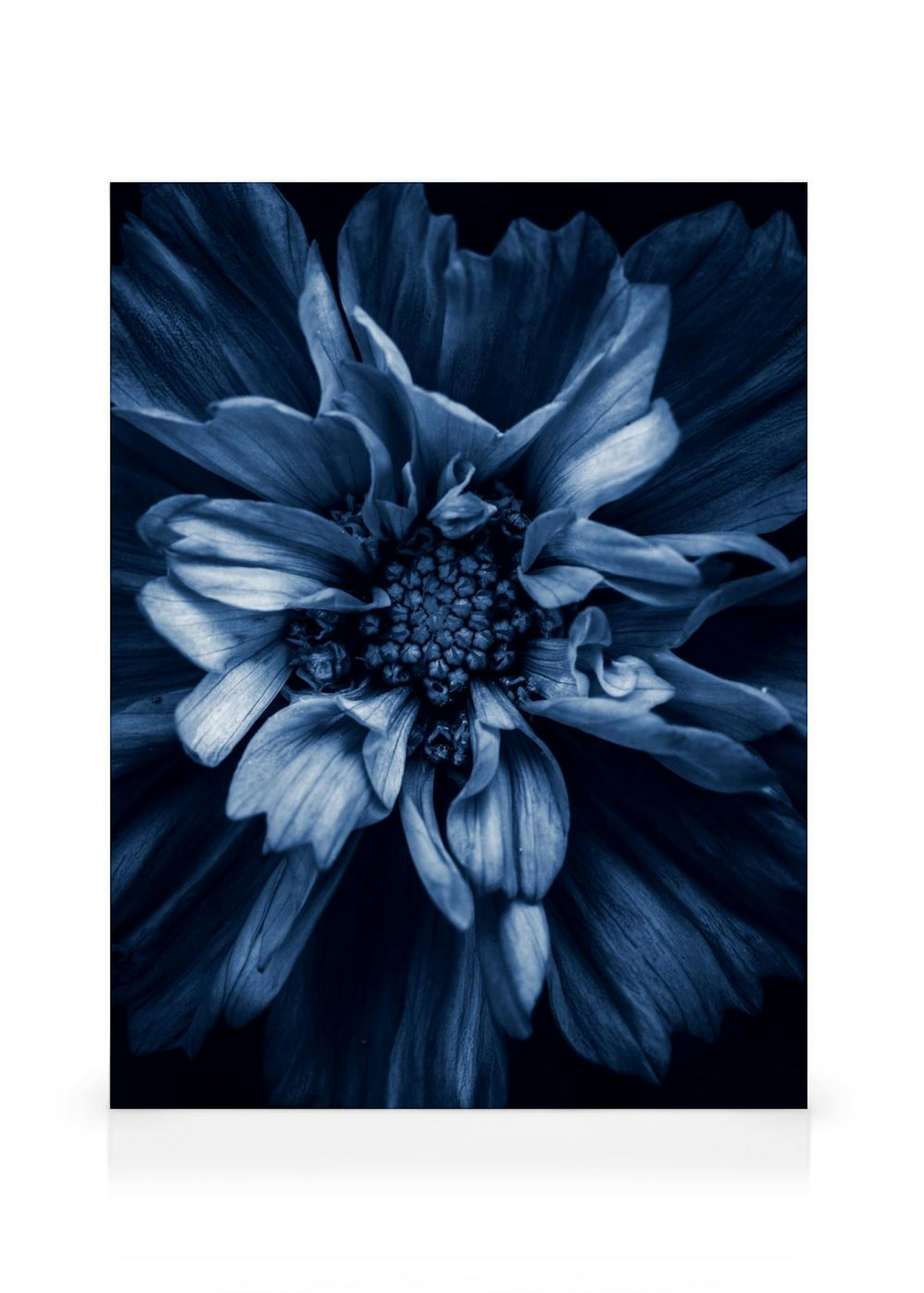 Product image: 1