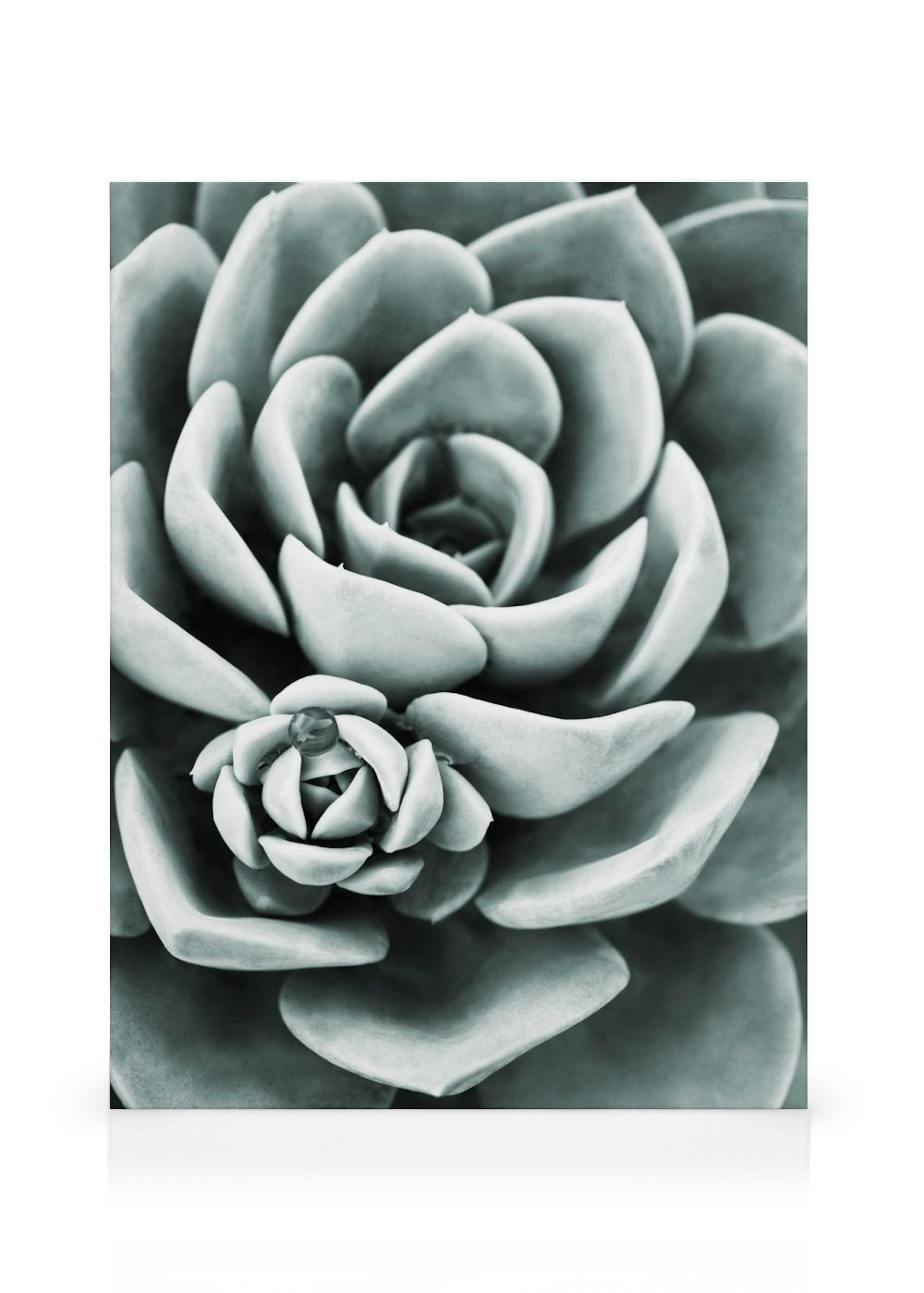 Product image: 1