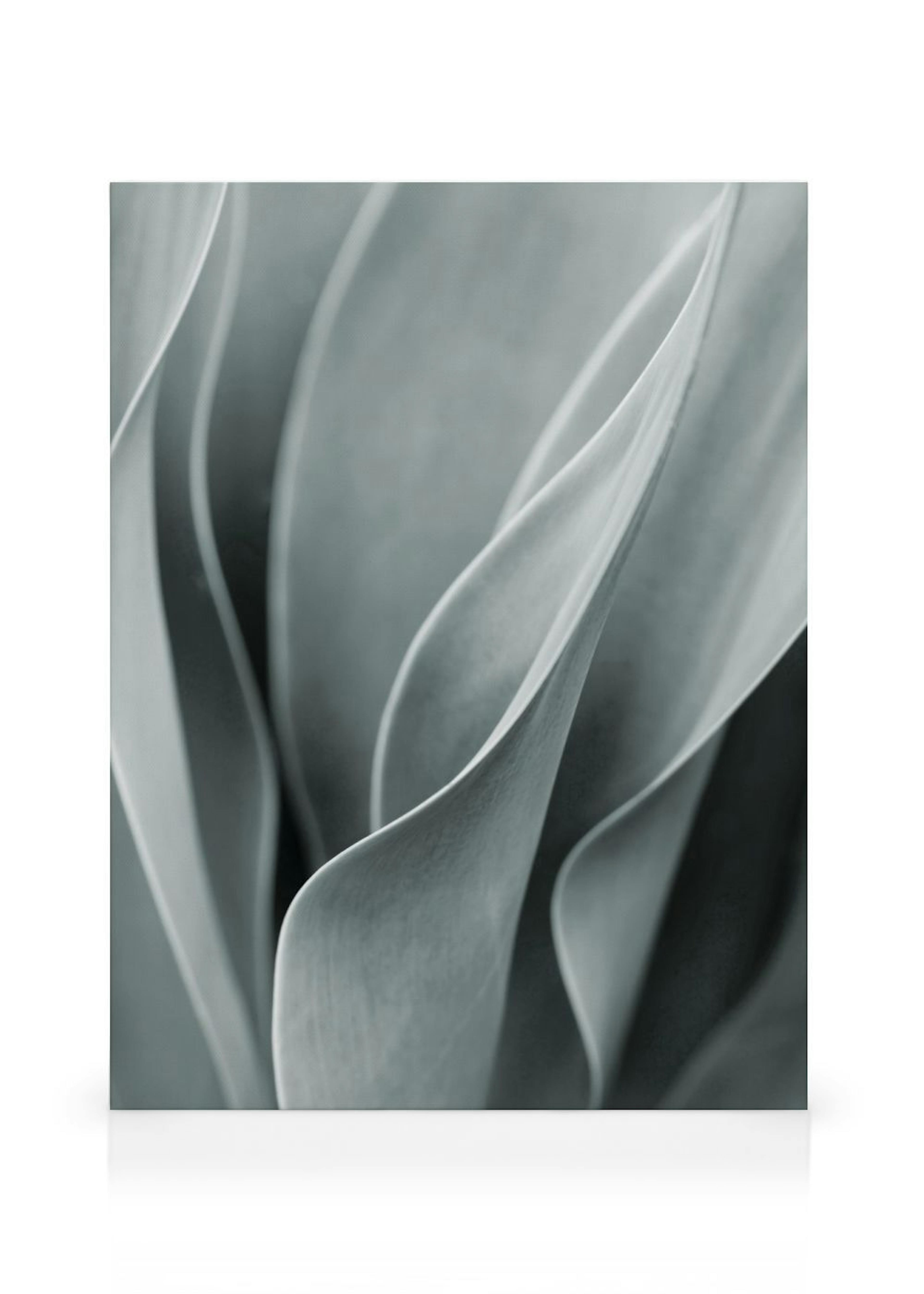 Product image: 1
