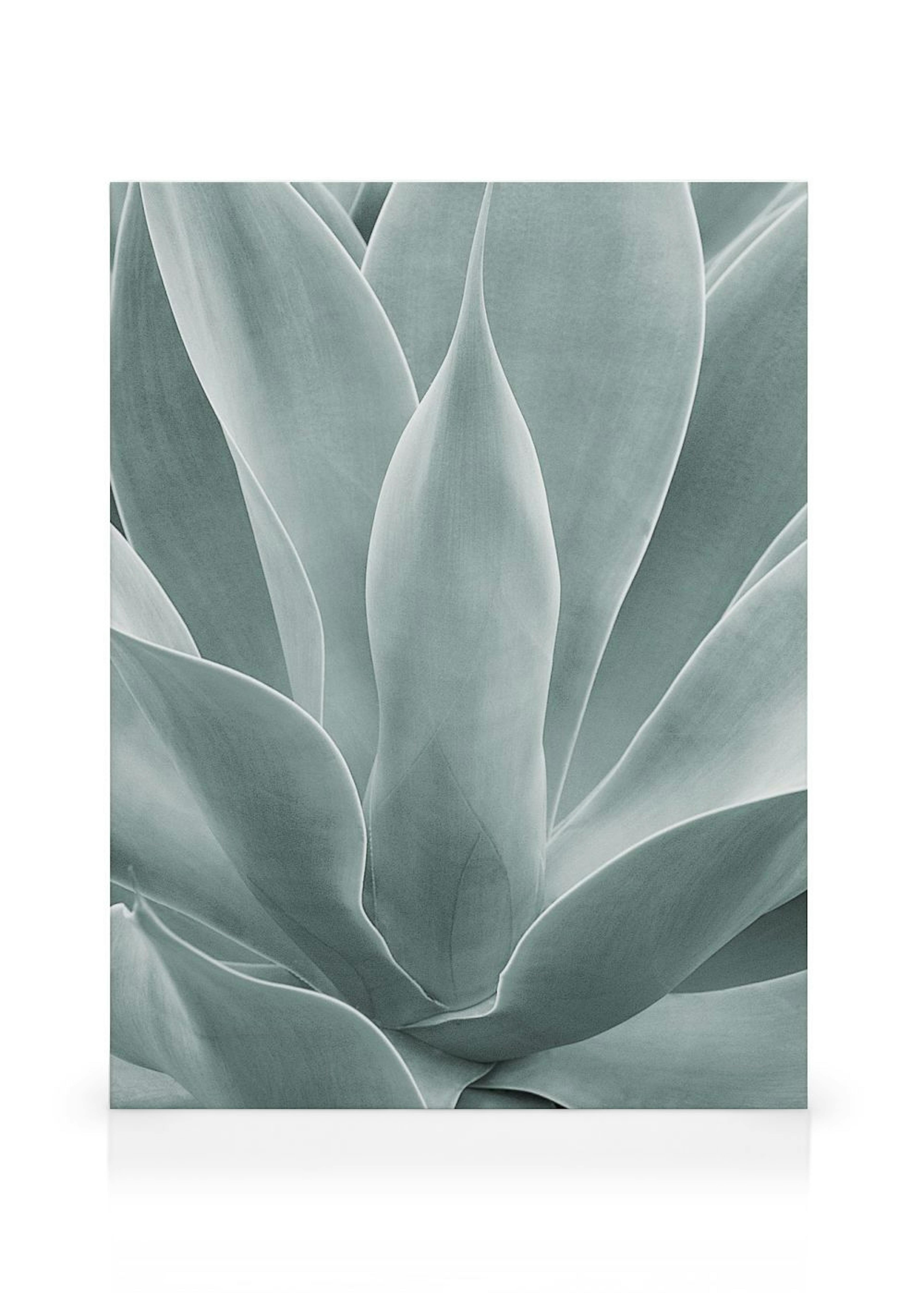 Product image: 1