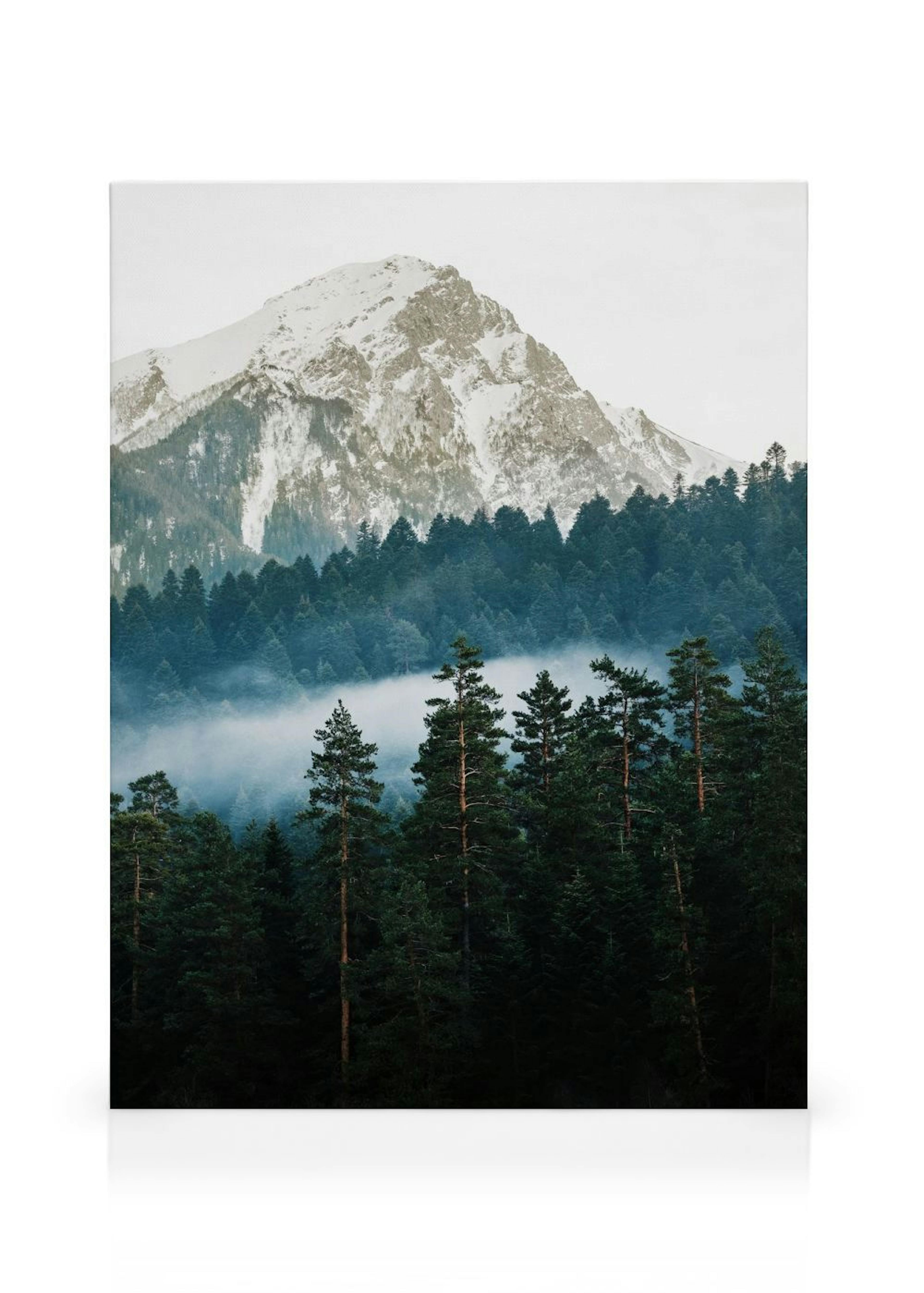 Product image: 1