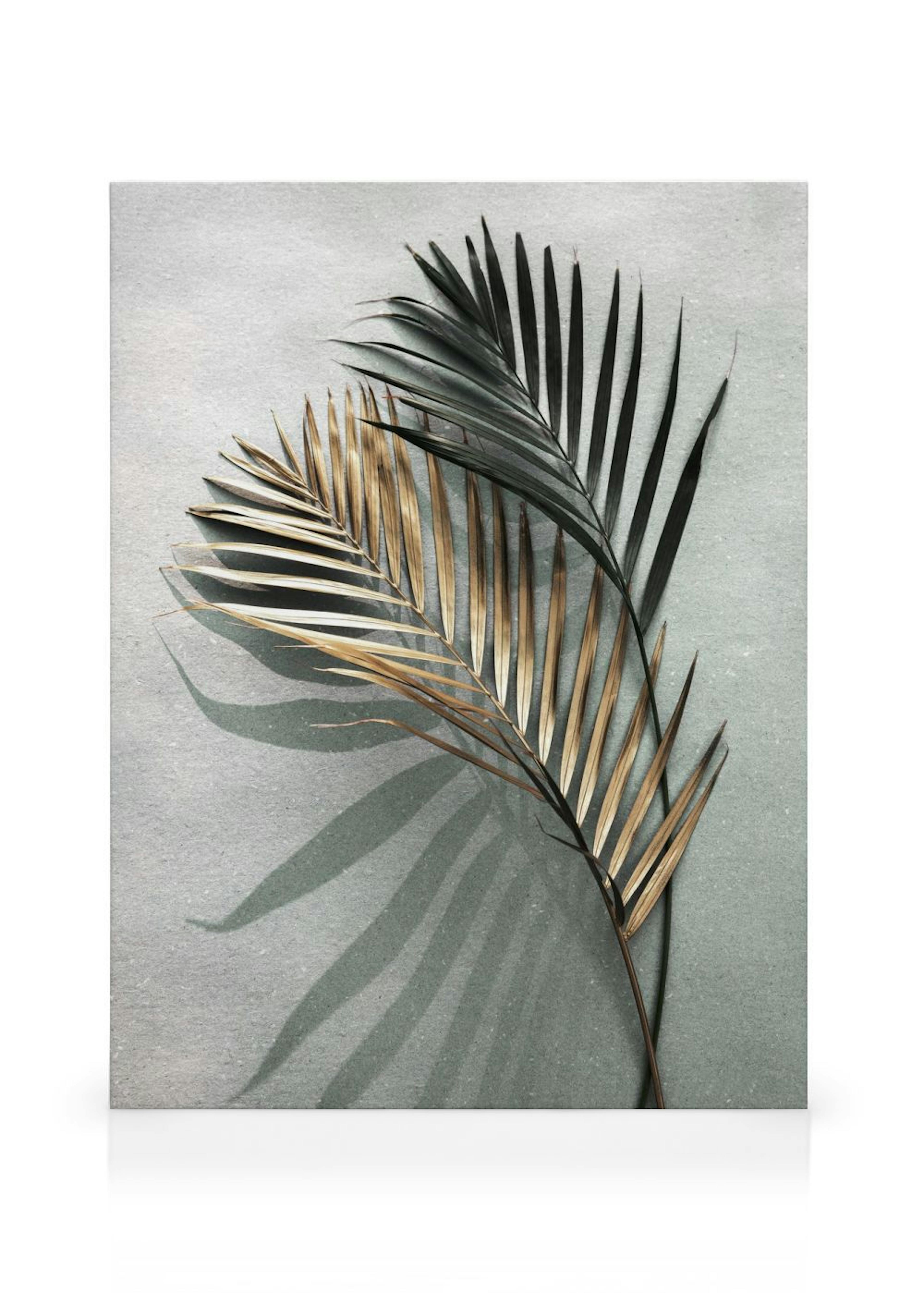 Product image: 1