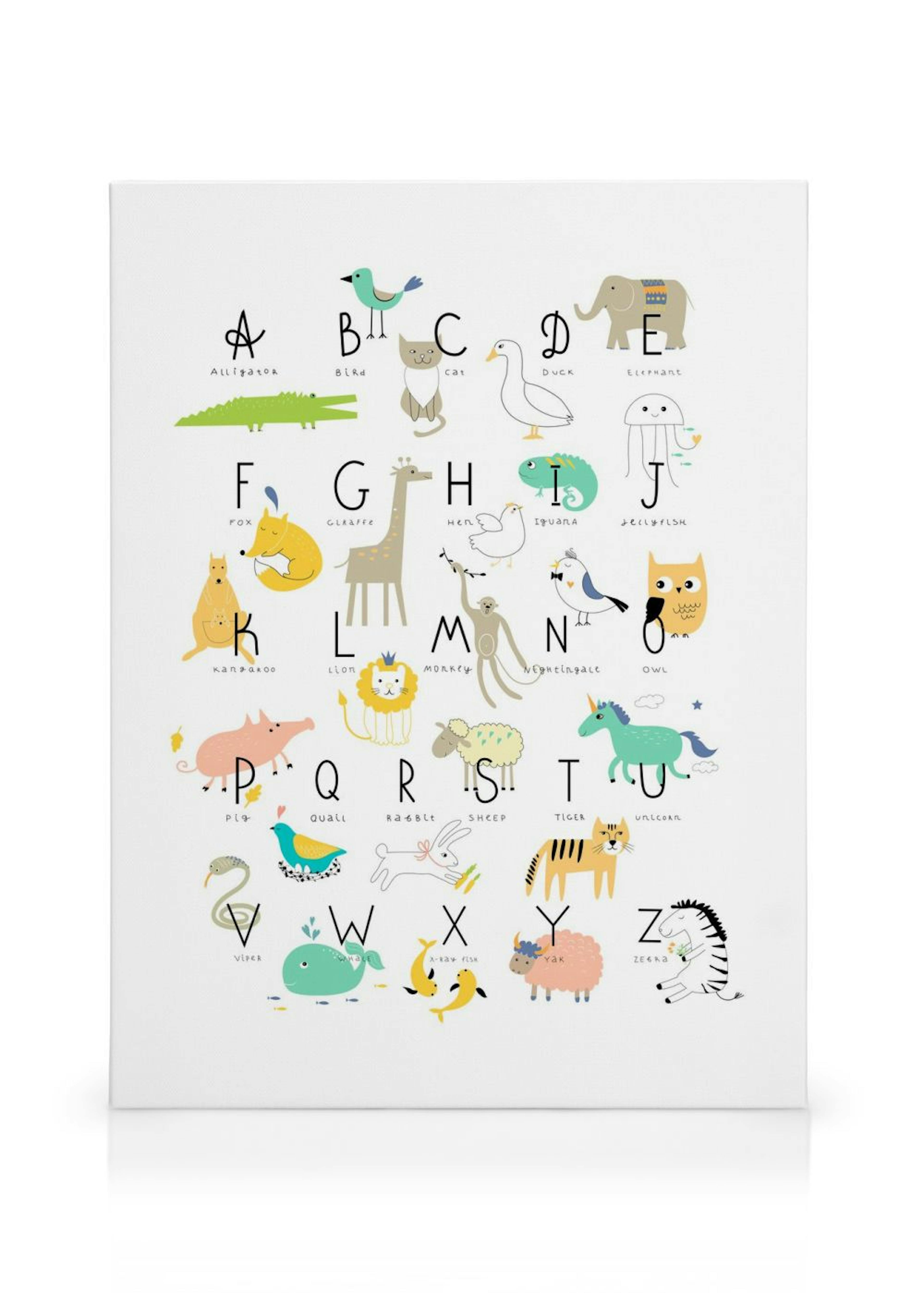 Animal Alphabet Lienzo