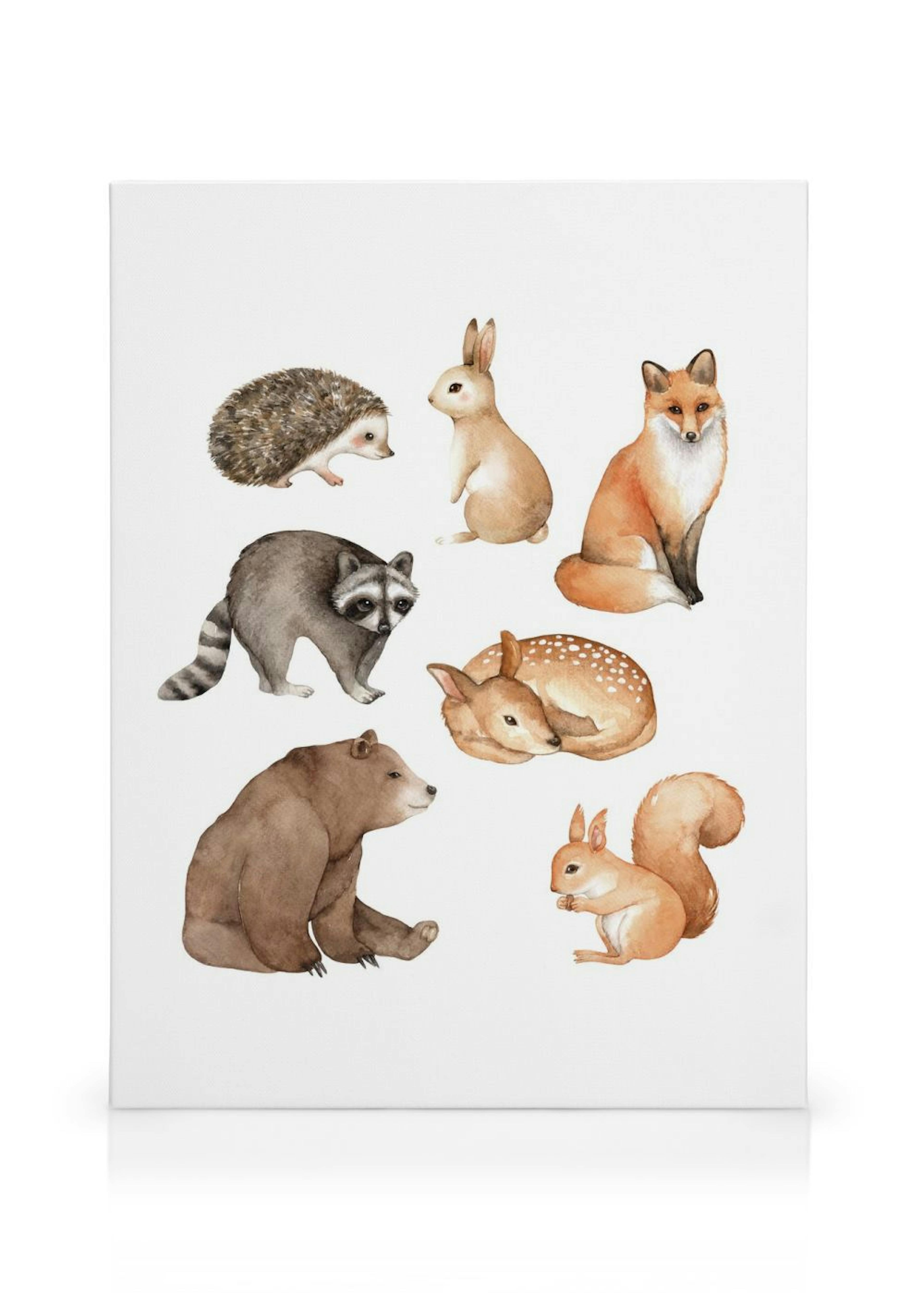 Forest Animals Canvas print