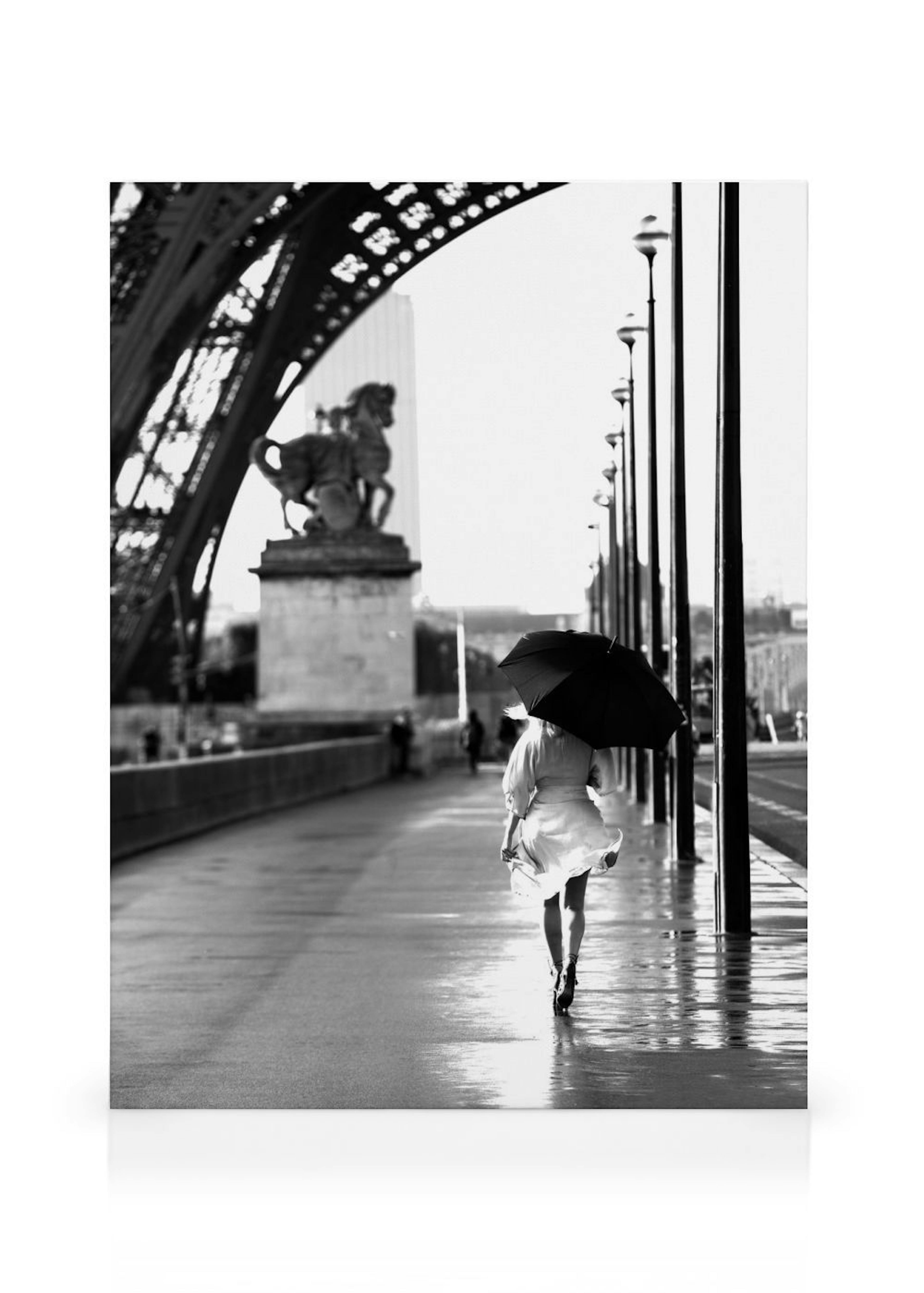 Walking in Paris obraz na plátně