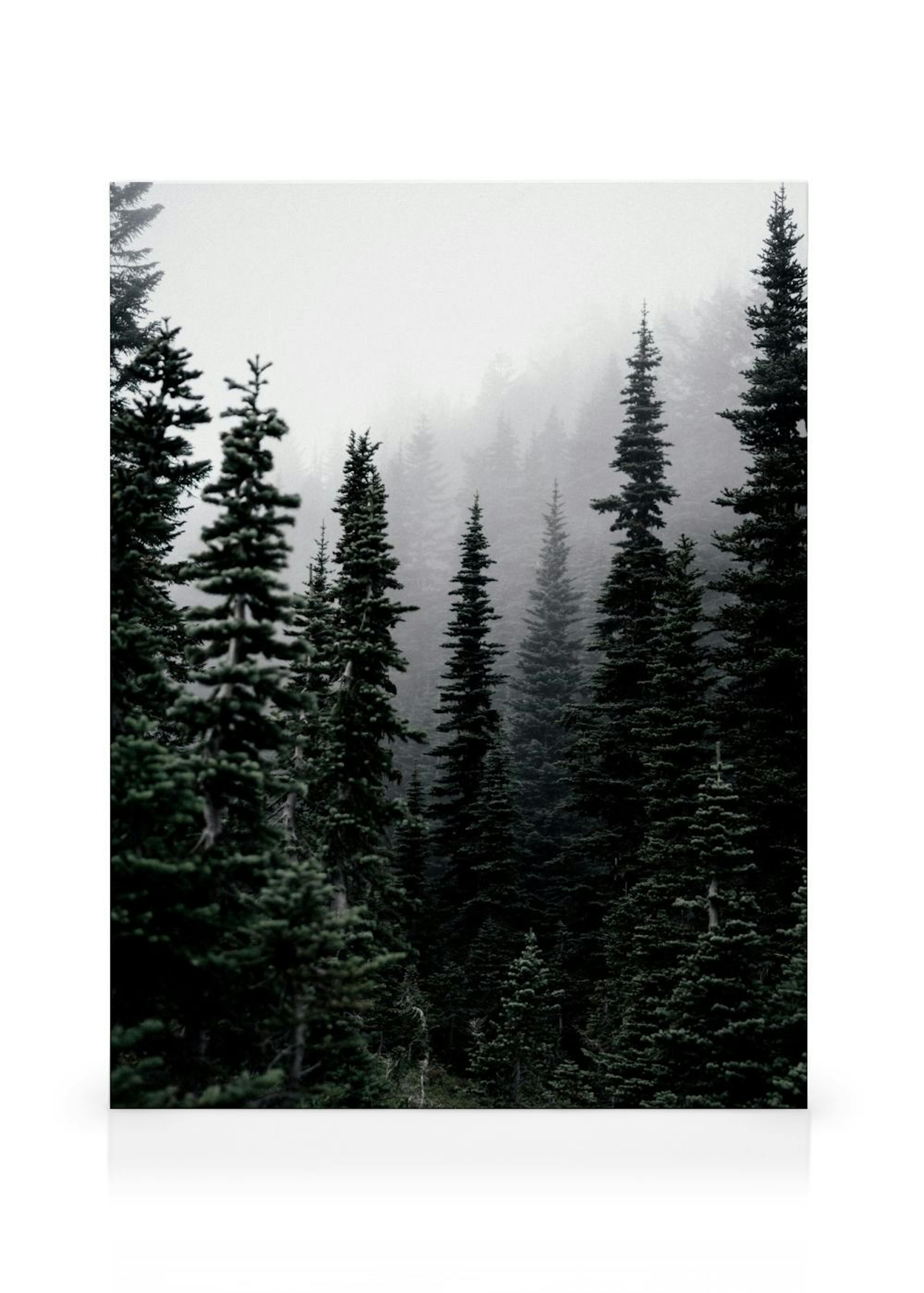 Product image: 1