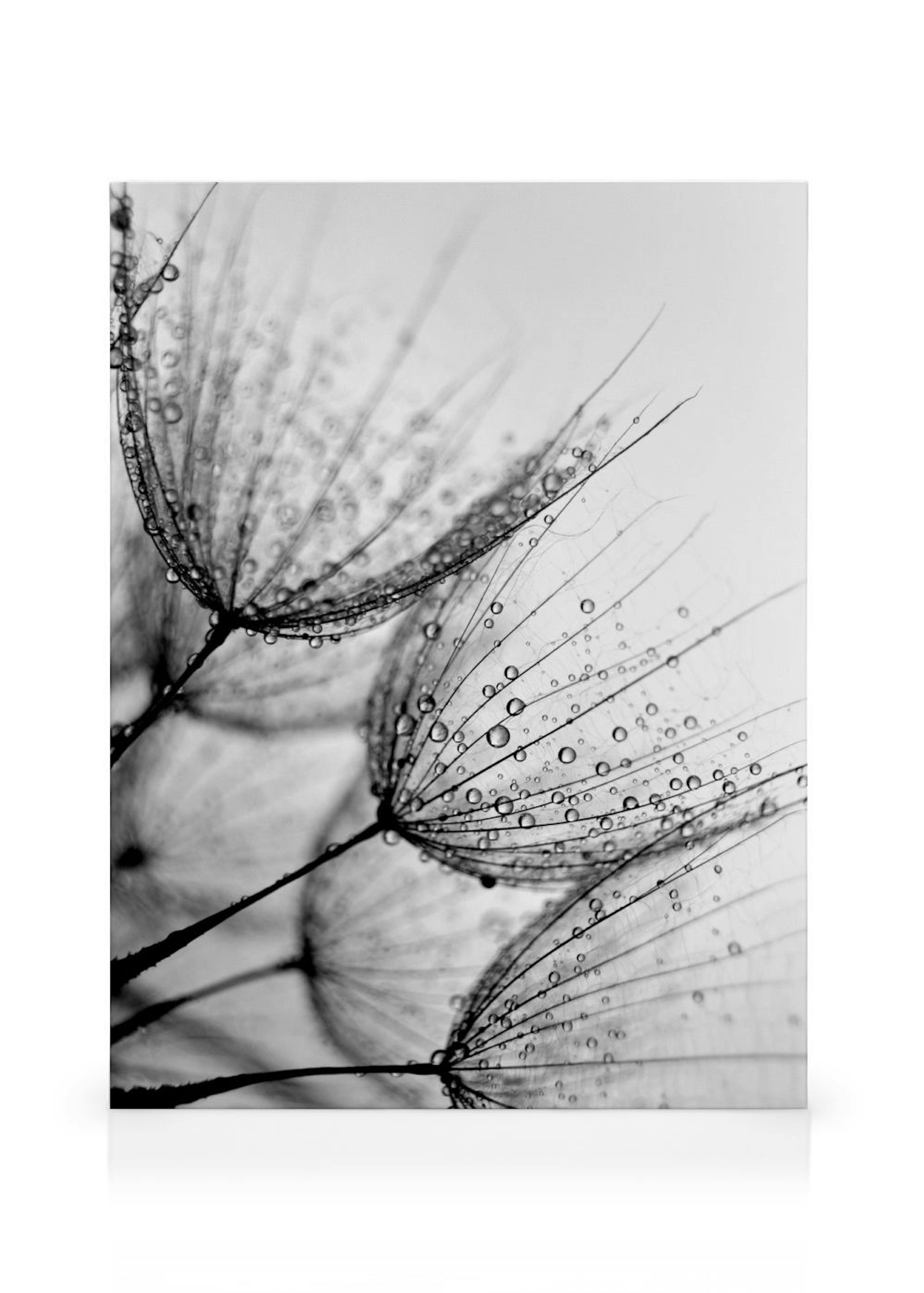 Product image: 1
