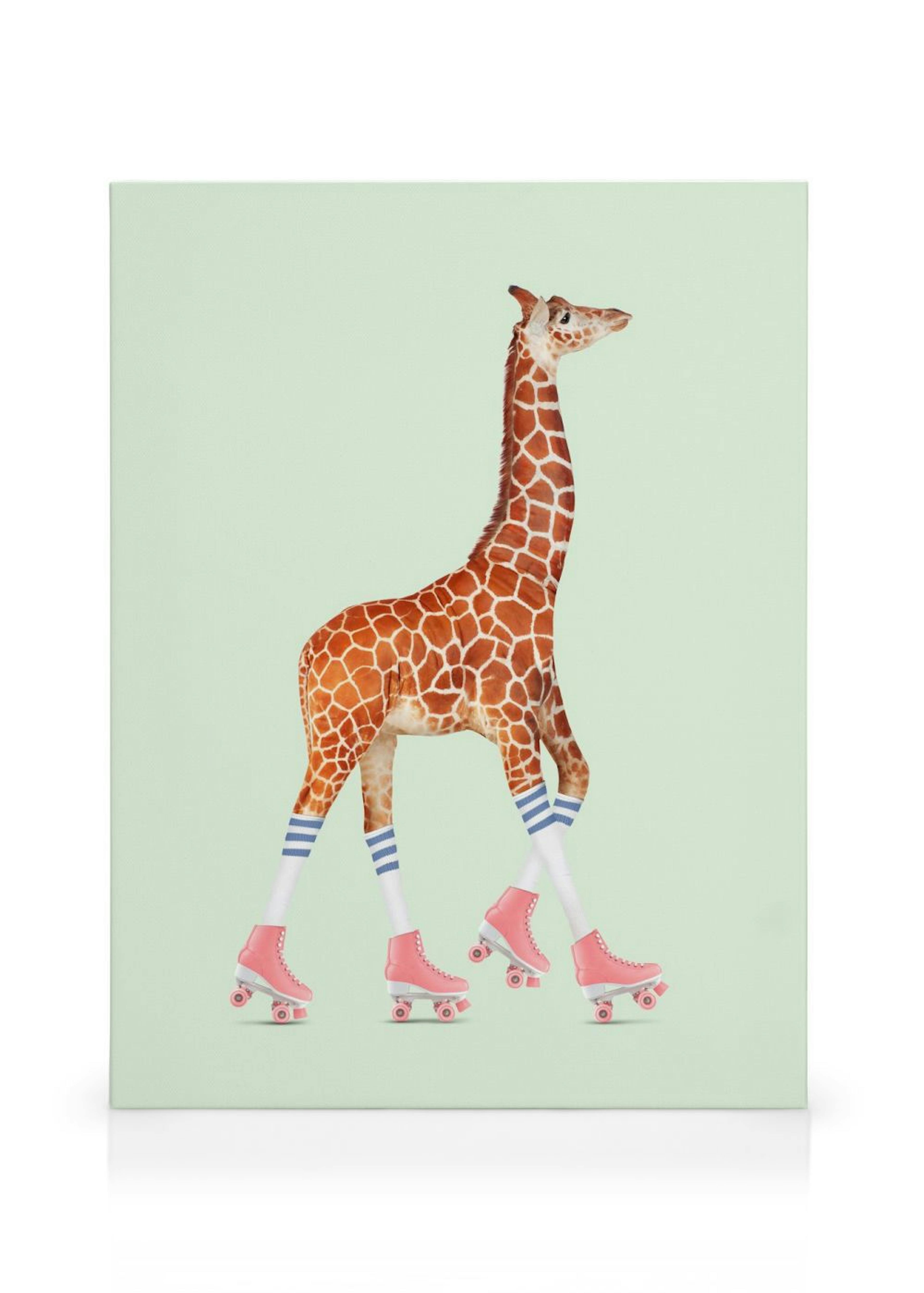Jonas Loose - Rollerskating Giraffe Canvastavla